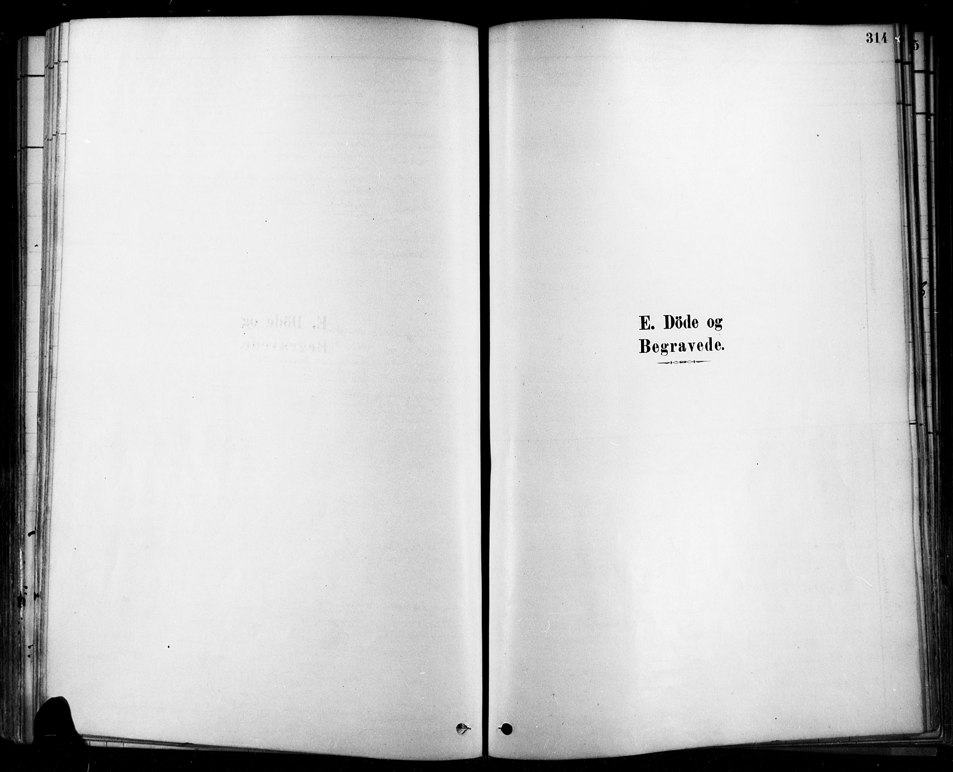 Rygge prestekontor Kirkebøker, SAO/A-10084b/F/Fa/L0007: Parish register (official) no. 7, 1878-1904, p. 314