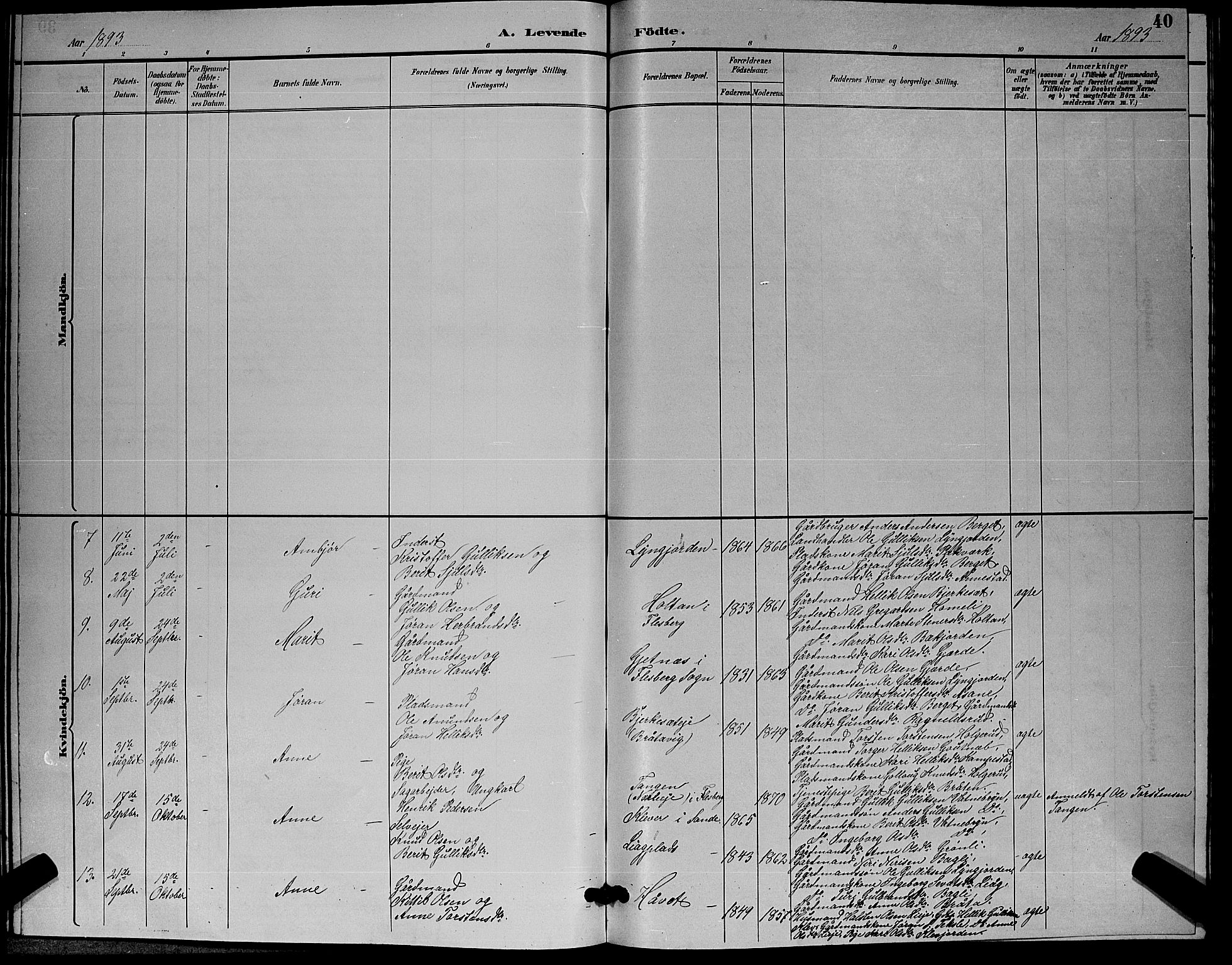 Flesberg kirkebøker, AV/SAKO-A-18/G/Ga/L0004: Parish register (copy) no. I 4 /3, 1890-1898, p. 40