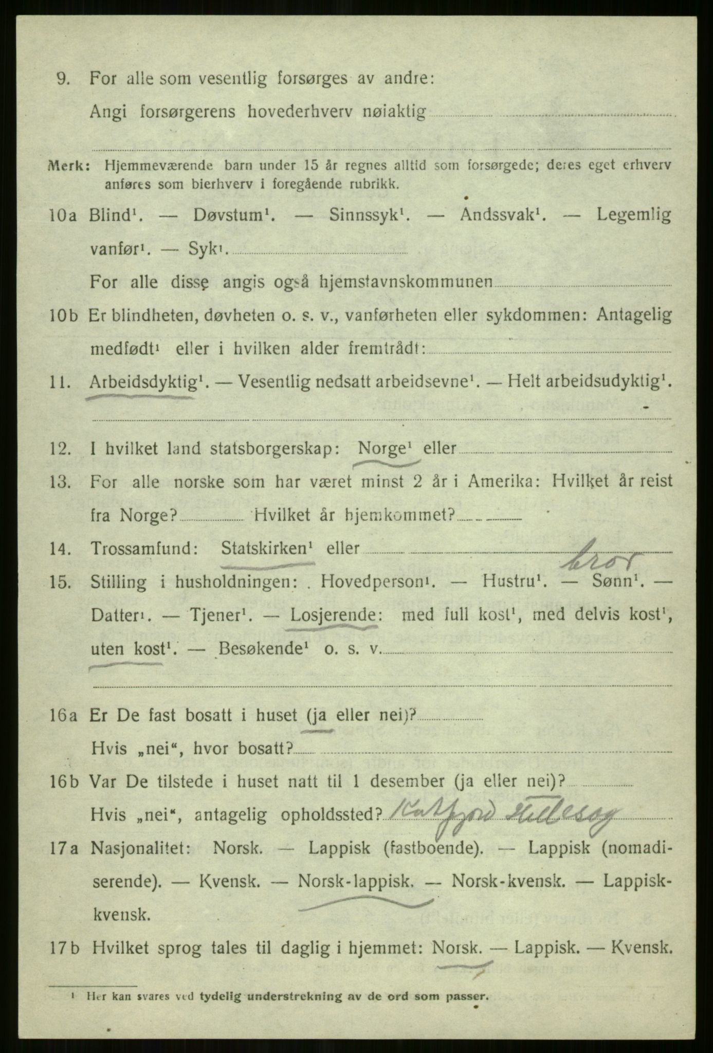 SATØ, 1920 census for Tromsøysund, 1920, p. 10737