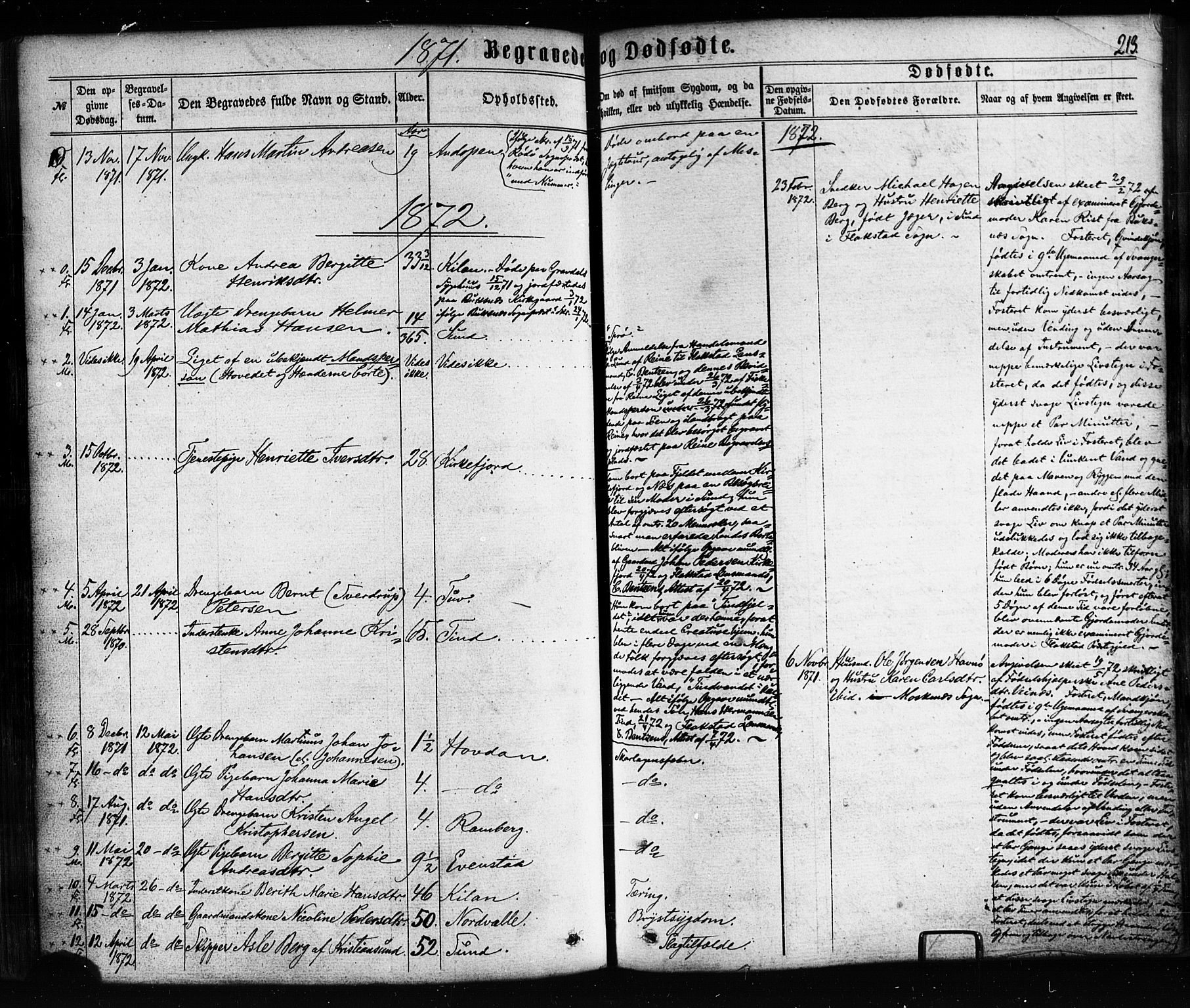 Ministerialprotokoller, klokkerbøker og fødselsregistre - Nordland, SAT/A-1459/885/L1203: Parish register (official) no. 885A04, 1859-1877, p. 213