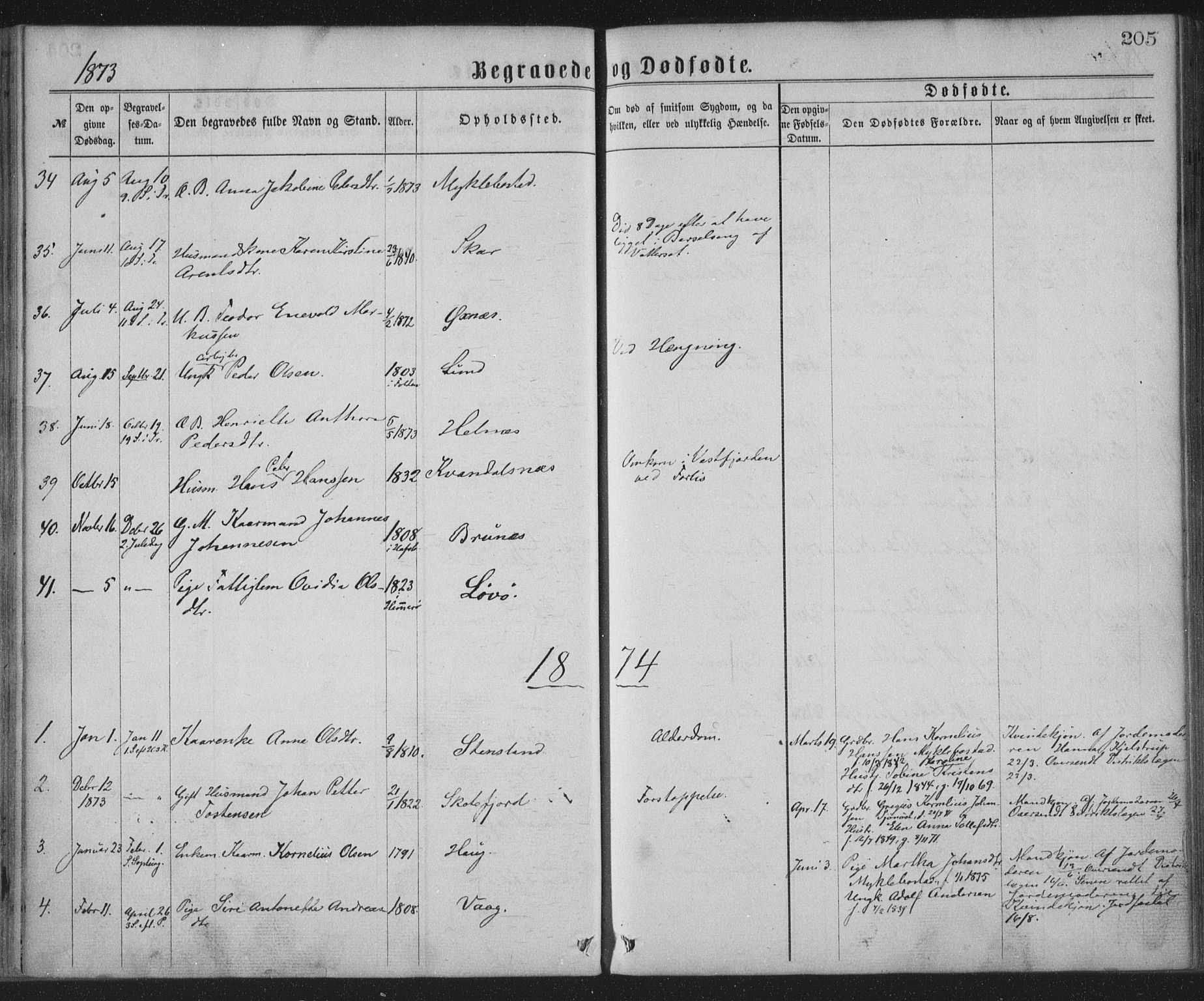 Ministerialprotokoller, klokkerbøker og fødselsregistre - Nordland, AV/SAT-A-1459/855/L0801: Parish register (official) no. 855A09, 1864-1874, p. 205