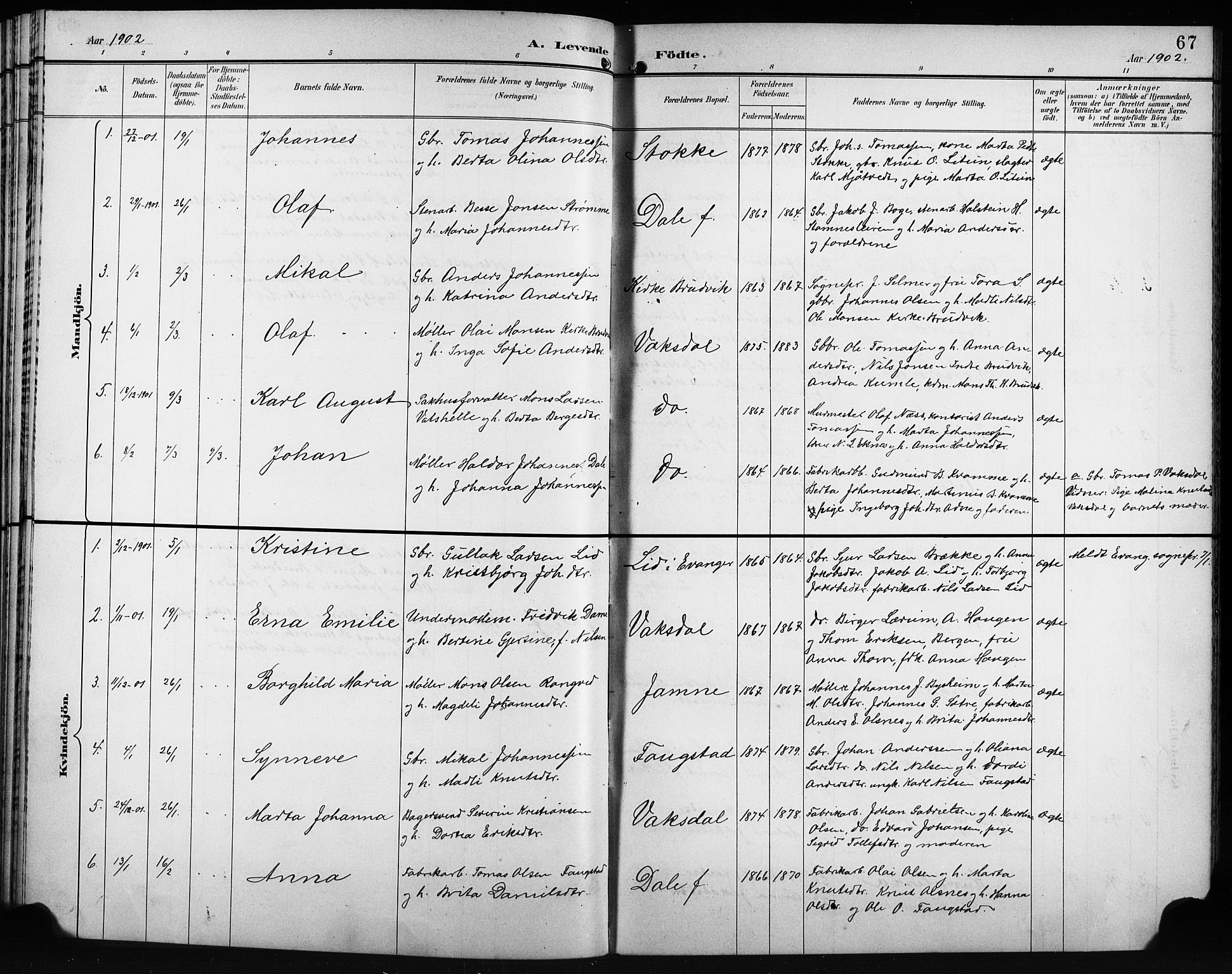 Bruvik Sokneprestembete, SAB/A-74701/H/Hab: Parish register (copy) no. A 2, 1895-1907, p. 67