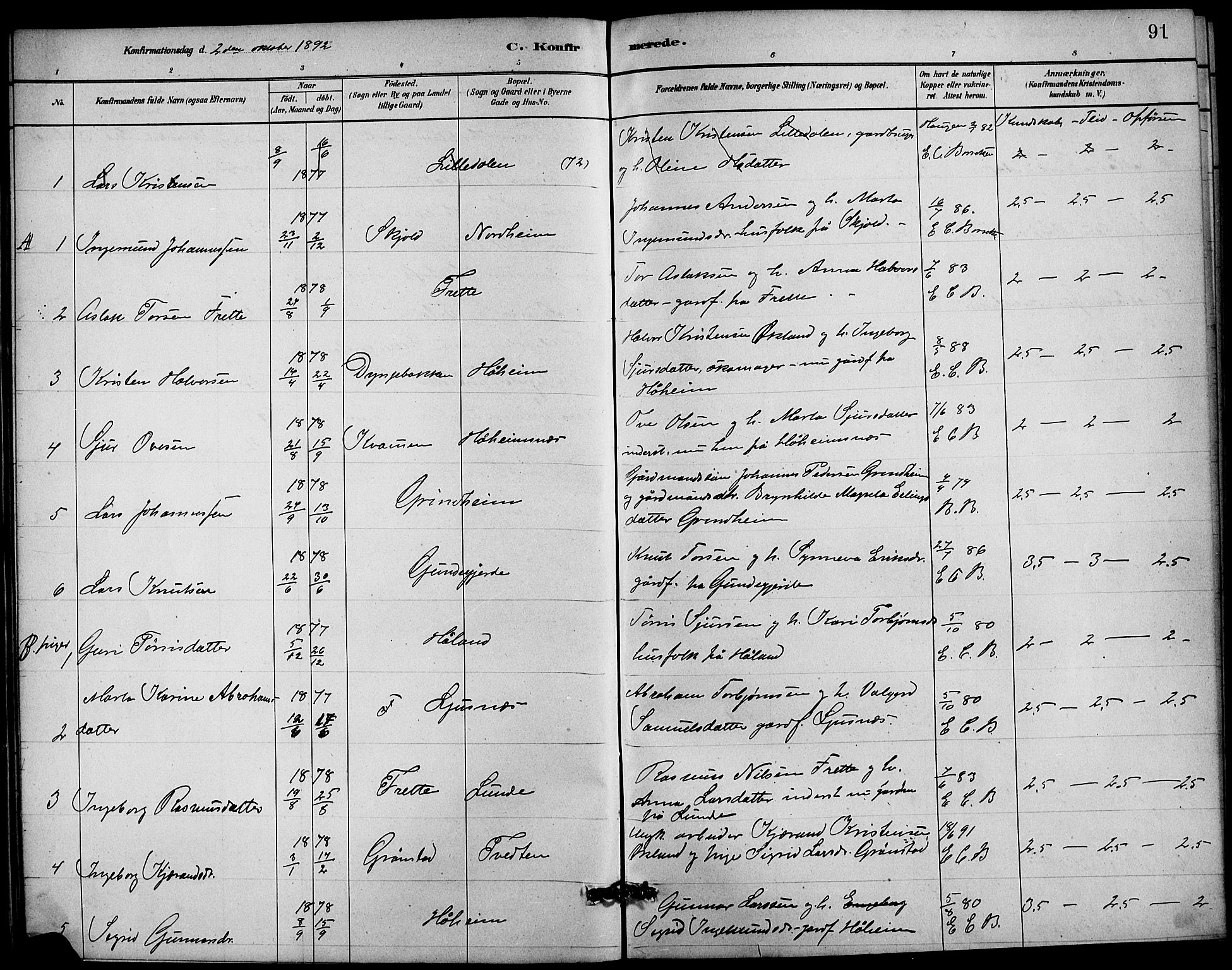 Etne sokneprestembete, SAB/A-75001/H/Hab: Parish register (copy) no. C 4, 1879-1896, p. 91
