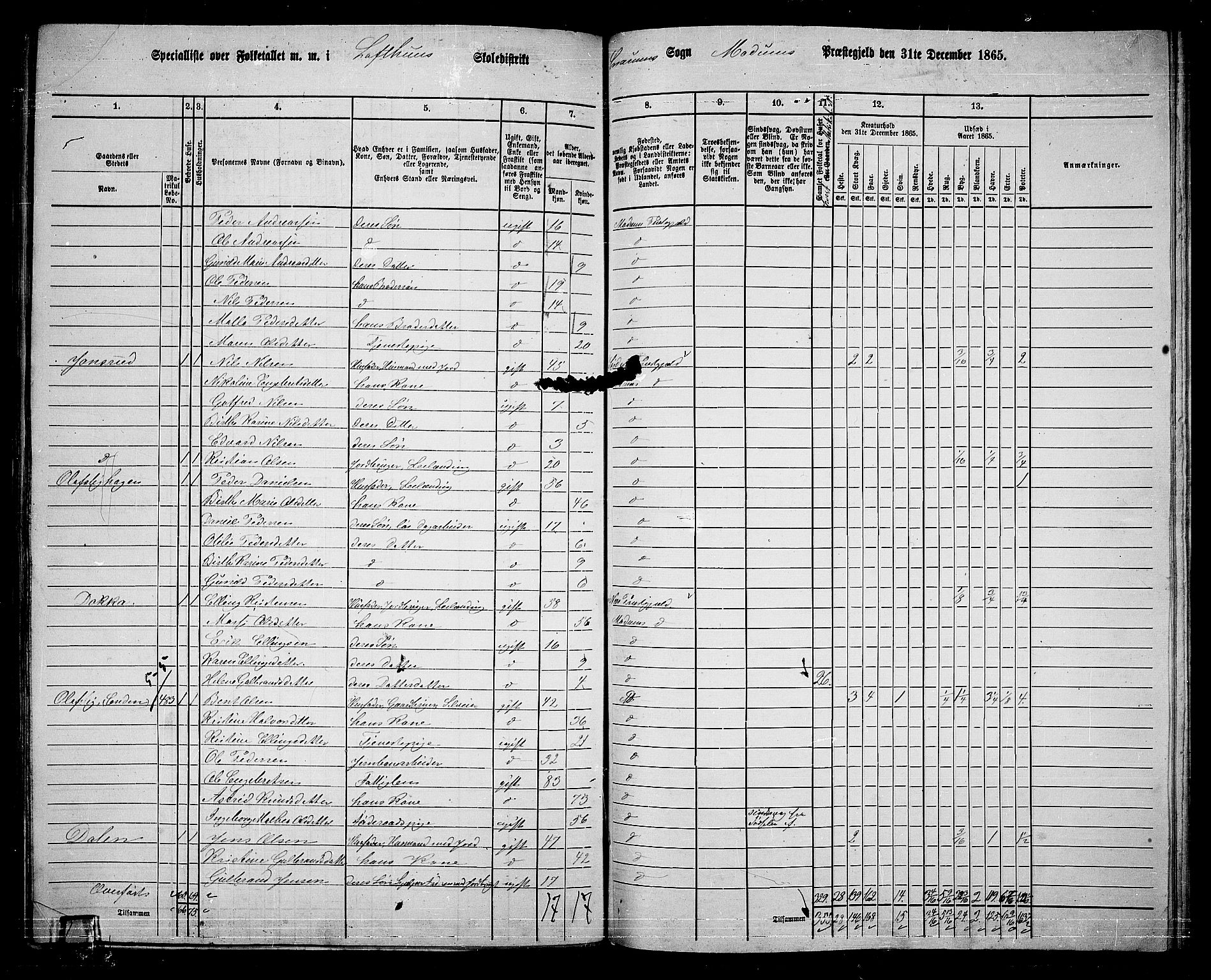 RA, 1865 census for Modum, 1865, p. 305