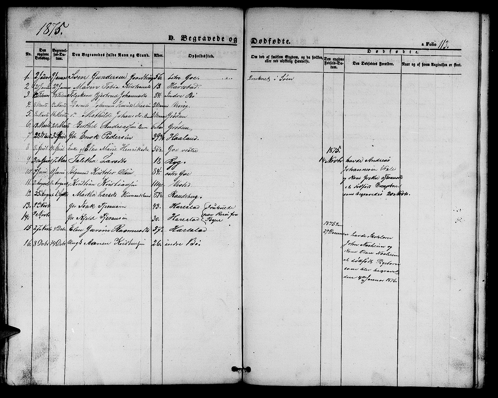 Hetland sokneprestkontor, AV/SAST-A-101826/30/30BB/L0002: Parish register (copy) no. B 2, 1856-1891, p. 113