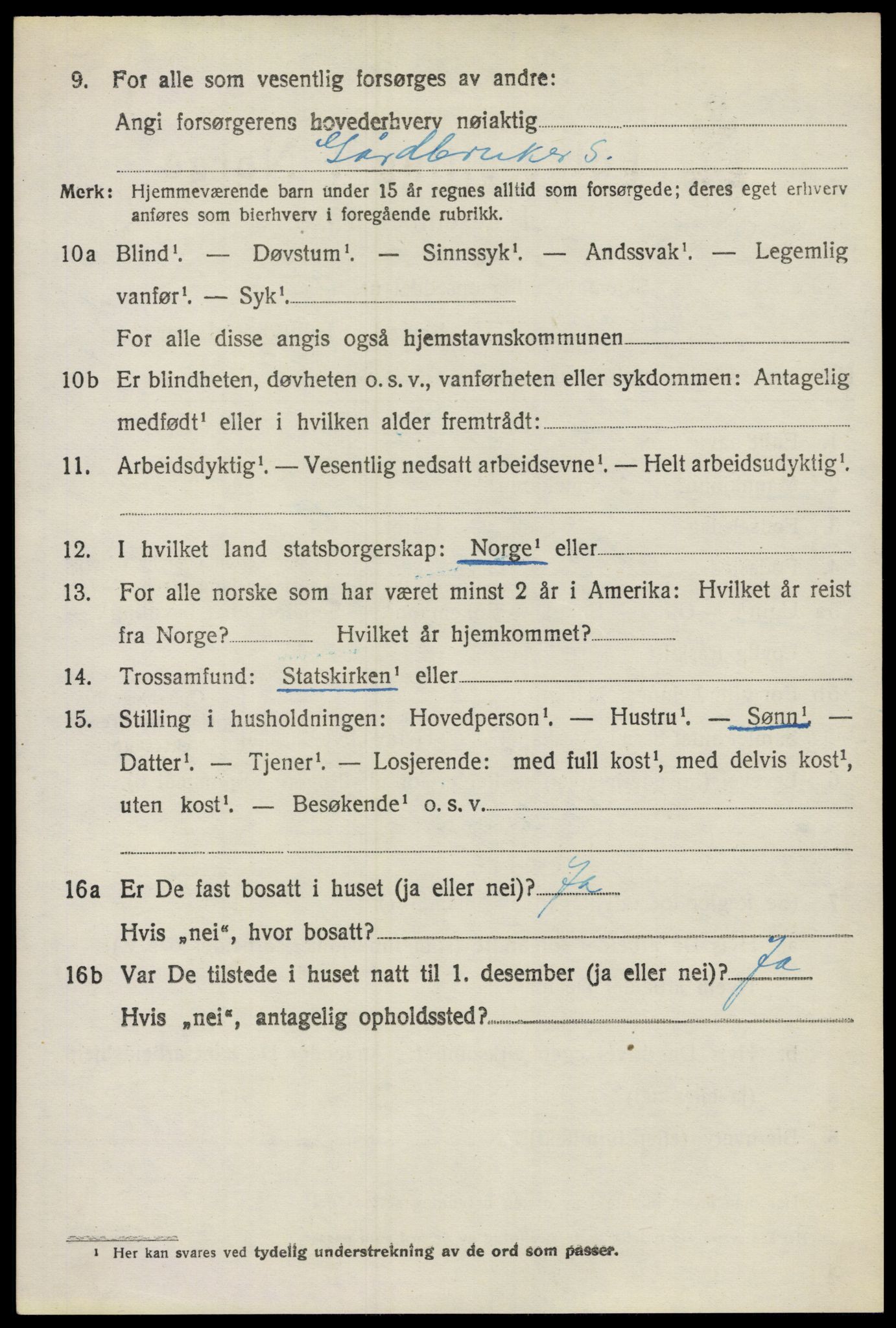 SAO, 1920 census for Nes, 1920, p. 9617