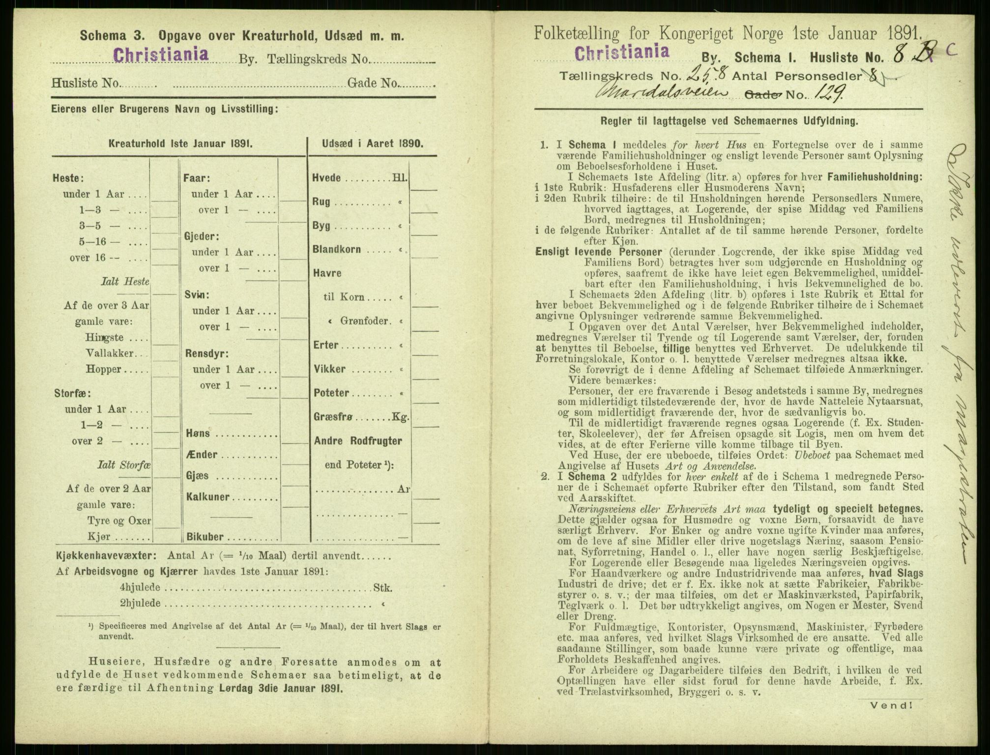 RA, 1891 census for 0301 Kristiania, 1891, p. 157094