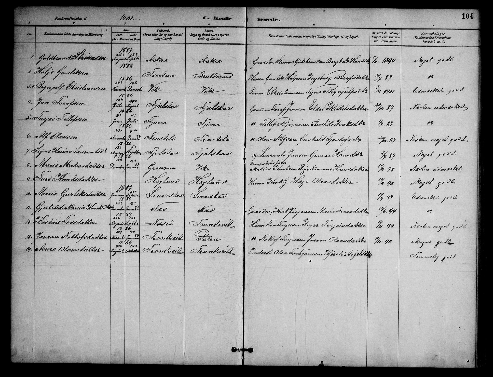Nissedal kirkebøker, AV/SAKO-A-288/G/Ga/L0003: Parish register (copy) no. I 3, 1887-1911, p. 104