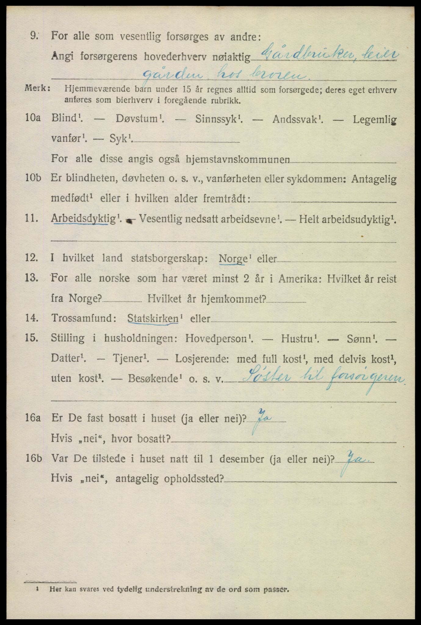 SAK, 1920 census for Hornnes, 1920, p. 3048