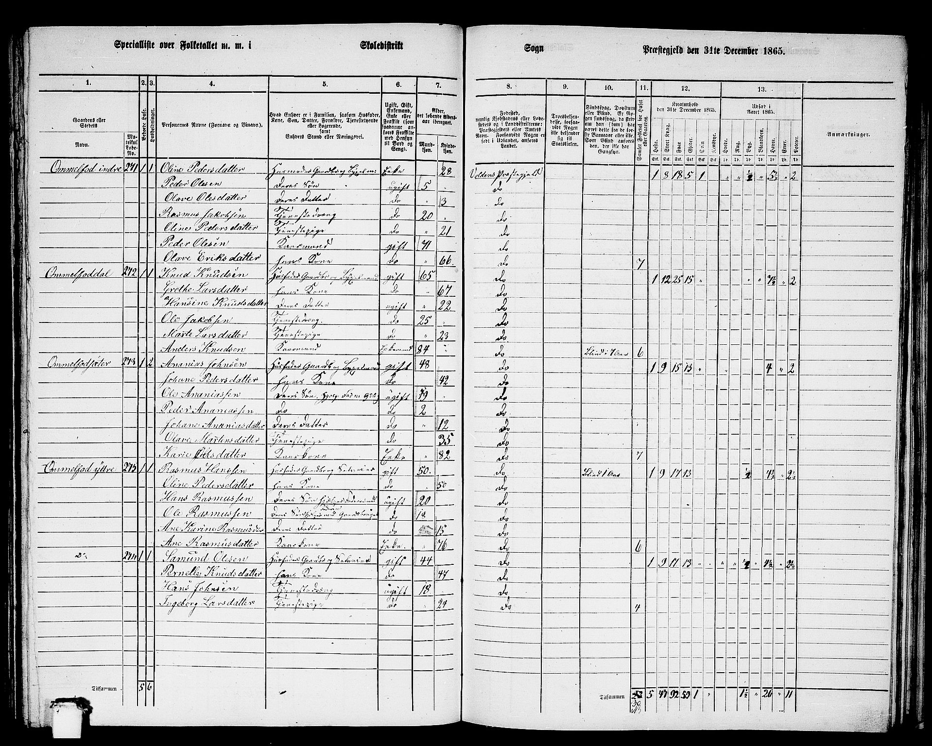 RA, 1865 census for Volda, 1865, p. 138