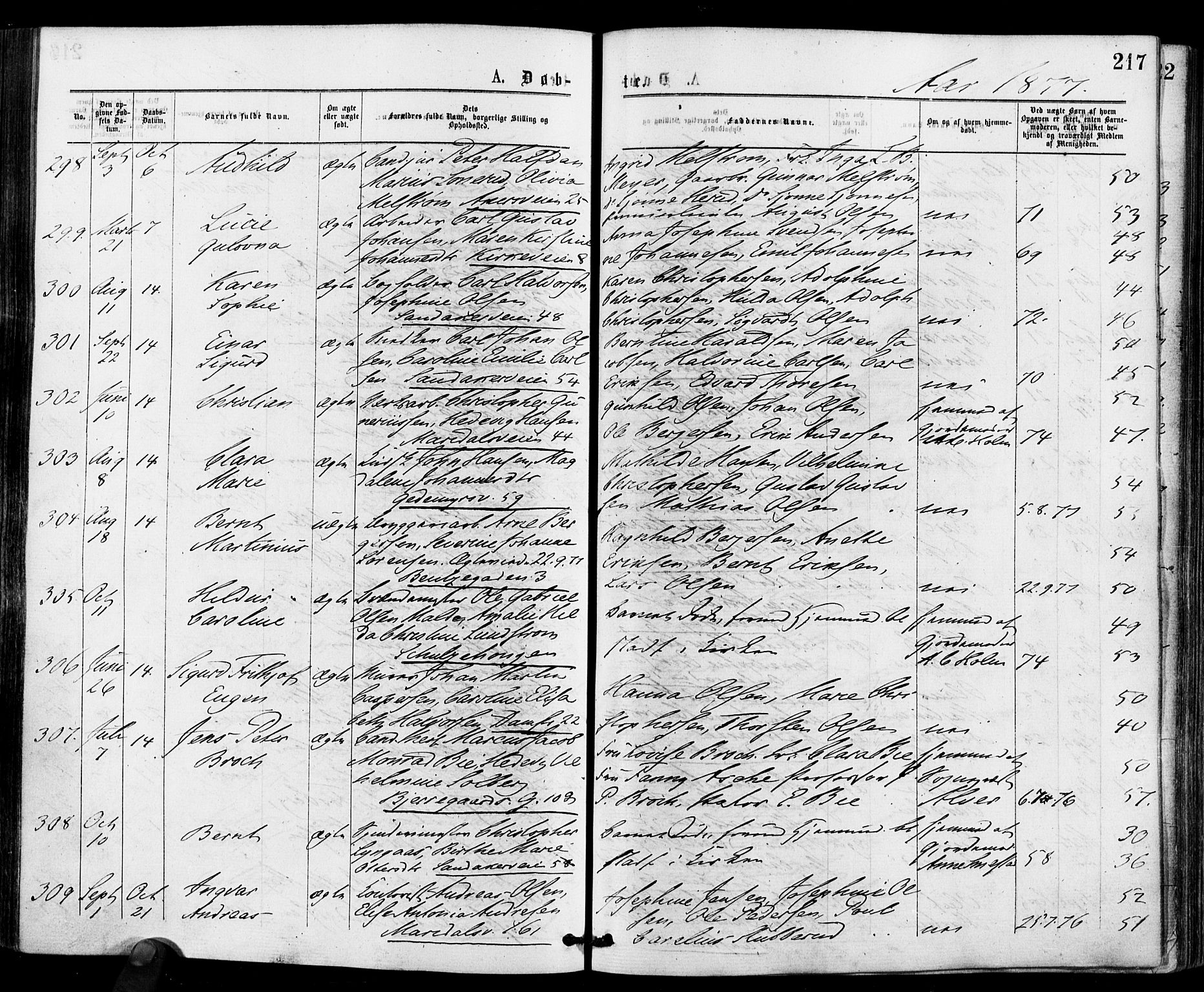 Gamle Aker prestekontor Kirkebøker, AV/SAO-A-10617a/F/L0004: Parish register (official) no. 4, 1872-1879, p. 217