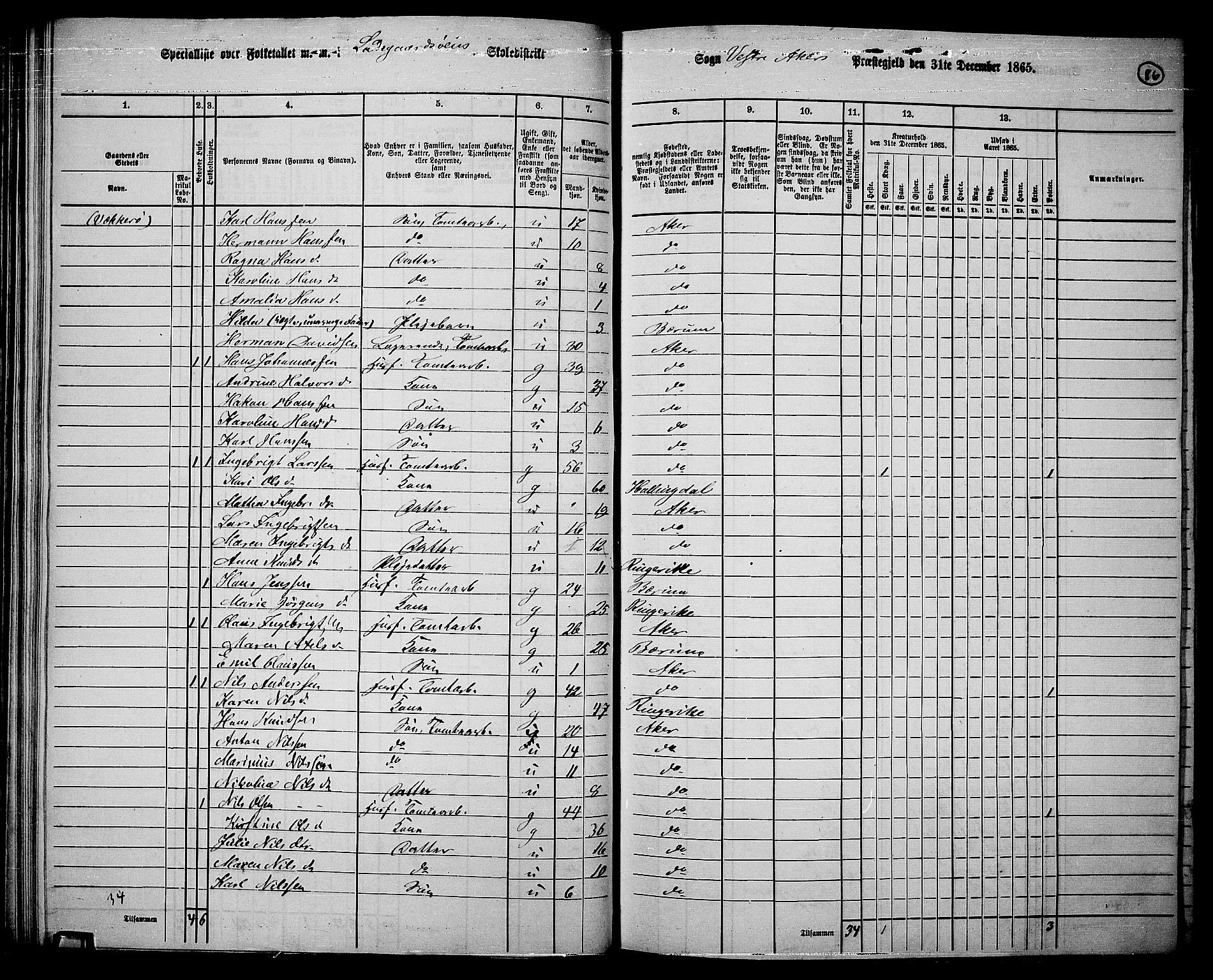 RA, 1865 census for Vestre Aker, 1865, p. 83