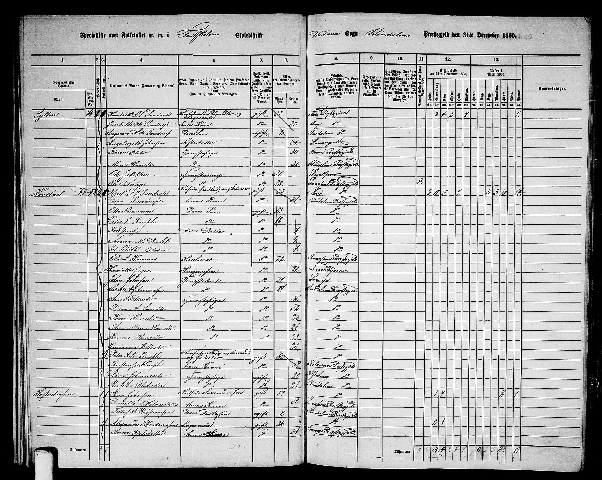 RA, 1865 census for Bindal, 1865, p. 23