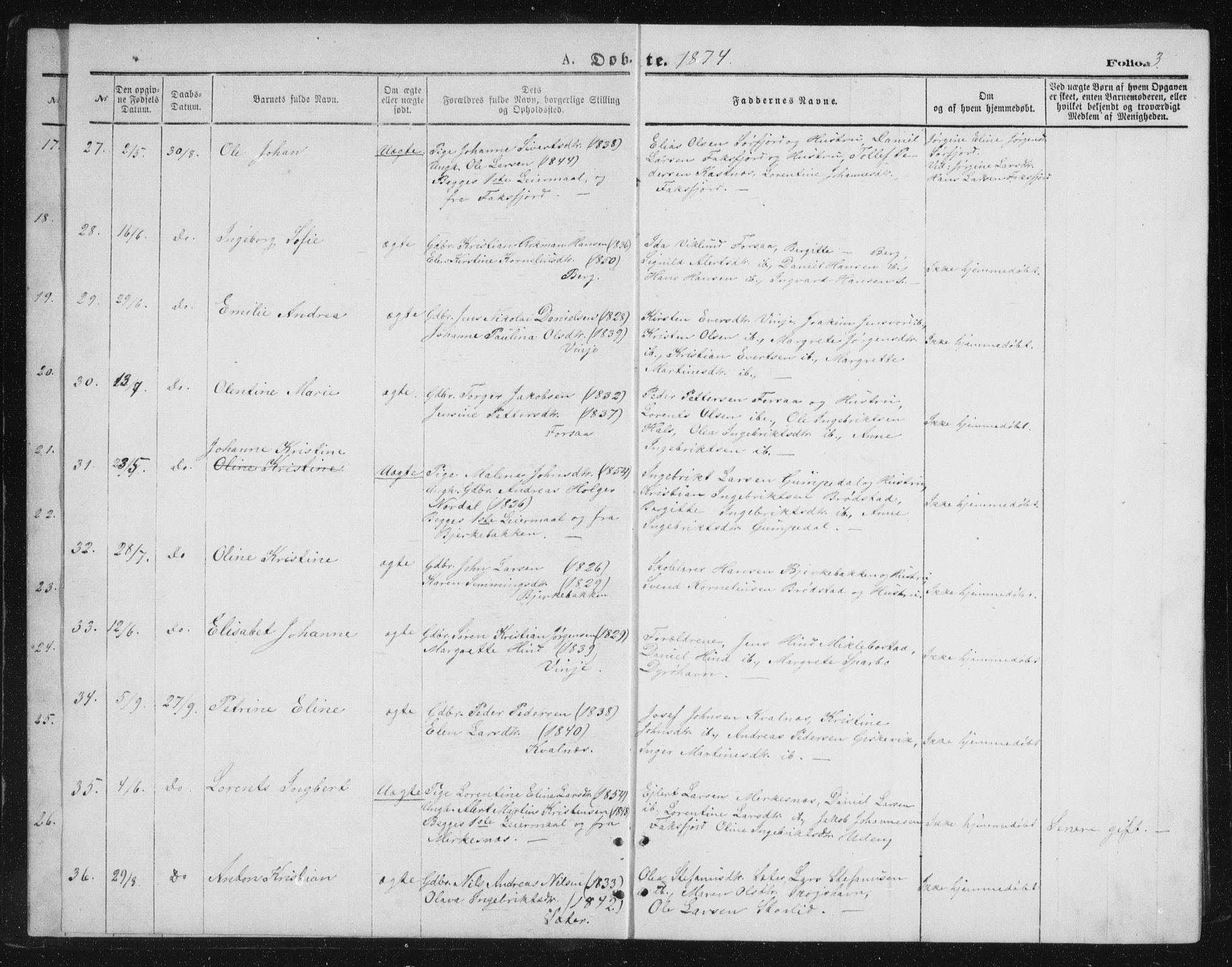 Tranøy sokneprestkontor, AV/SATØ-S-1313/I/Ia/Iab/L0013klokker: Parish register (copy) no. 13, 1874-1896, p. 3