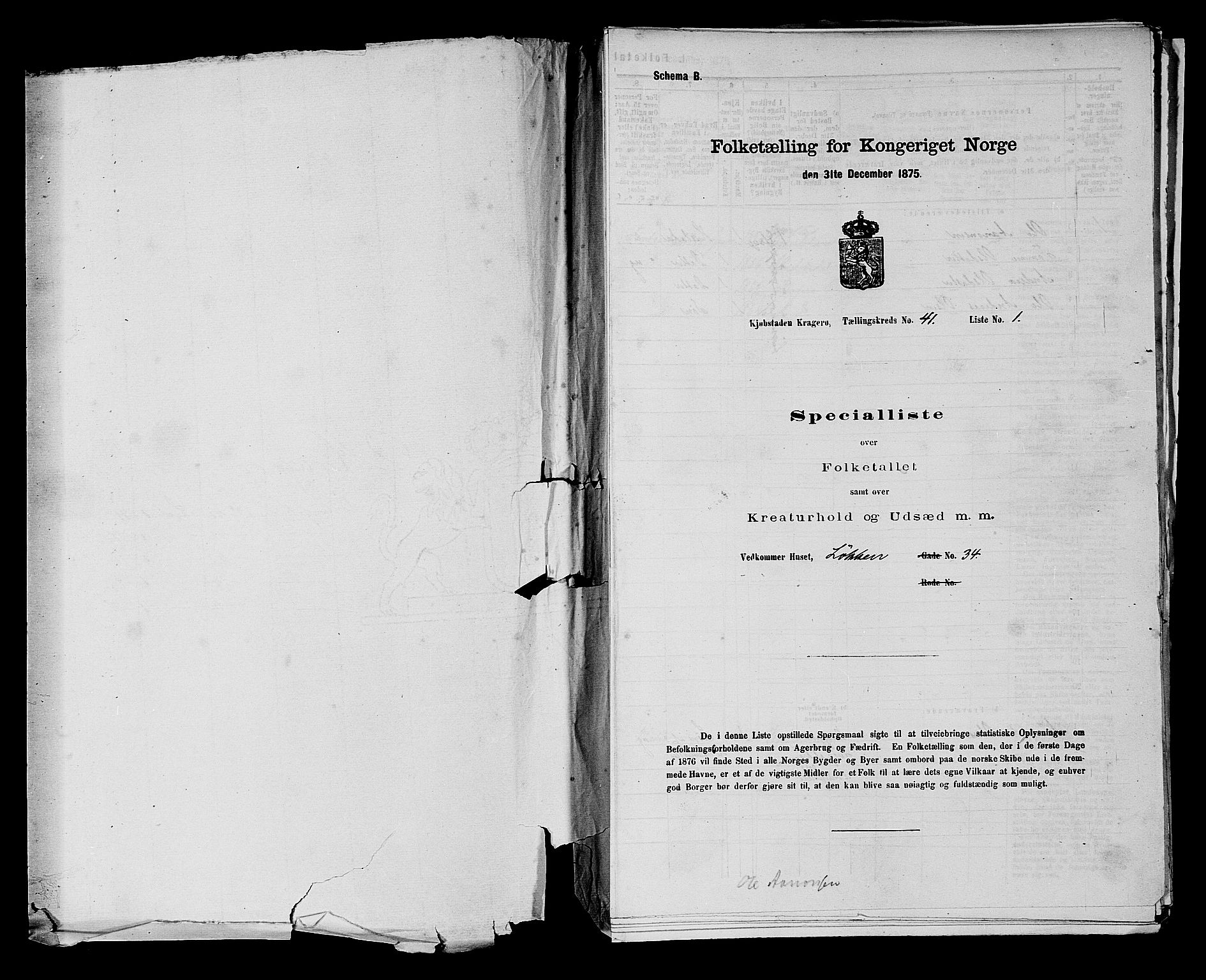 SAKO, 1875 census for 0801P Kragerø, 1875, p. 895