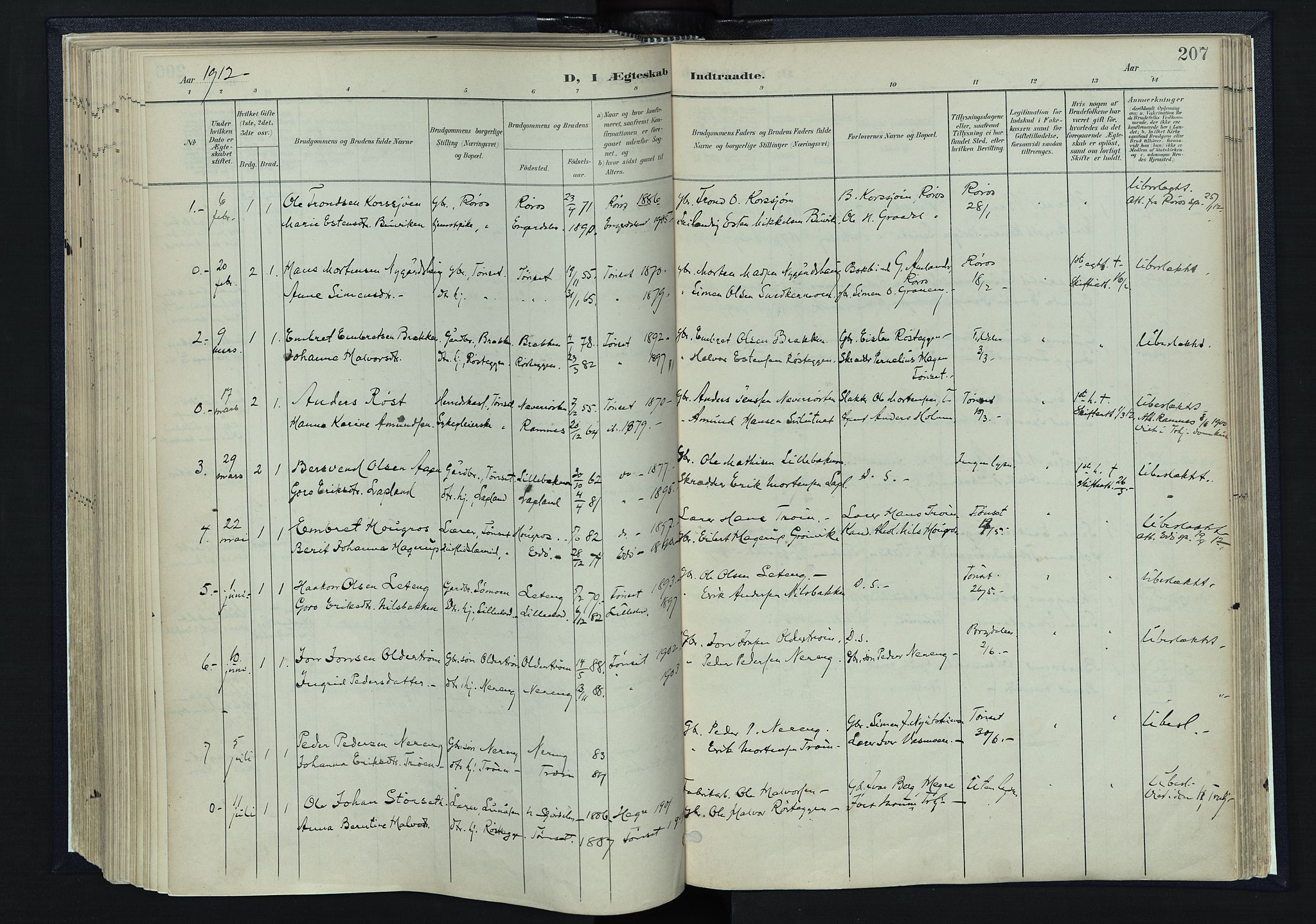 Tynset prestekontor, AV/SAH-PREST-058/H/Ha/Haa/L0025: Parish register (official) no. 25, 1900-1914, p. 207