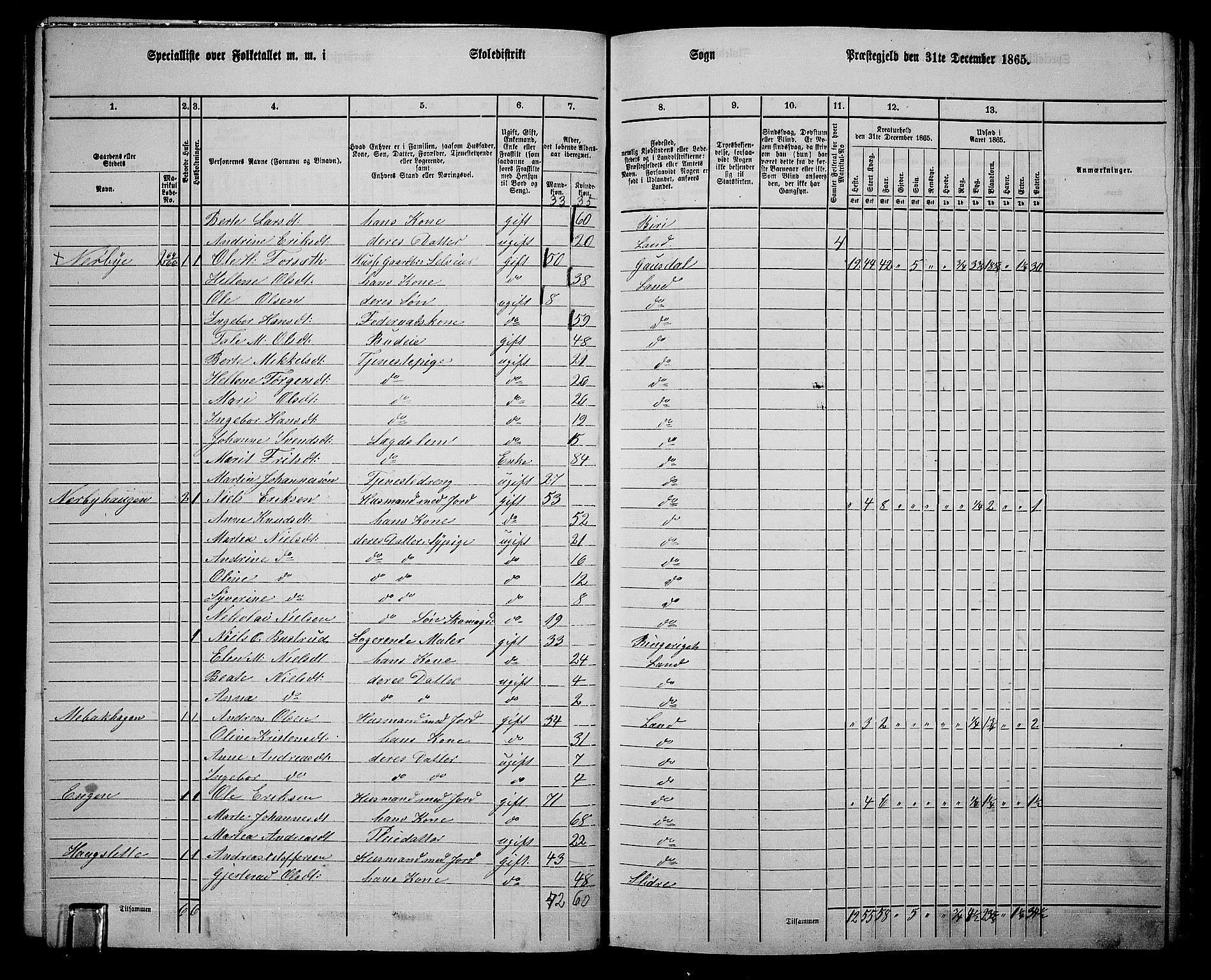 RA, 1865 census for Land, 1865, p. 293