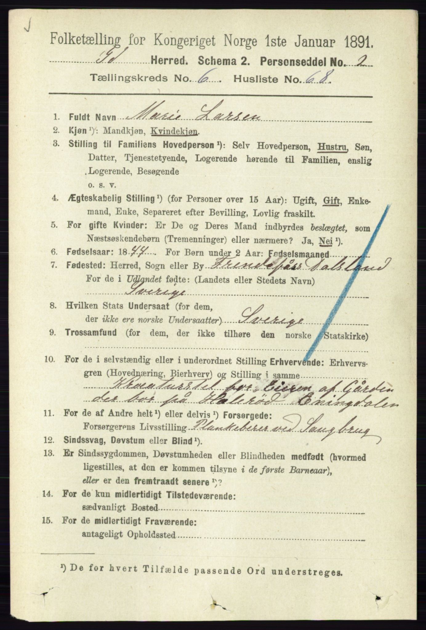 RA, 1891 census for 0117 Idd, 1891, p. 4055