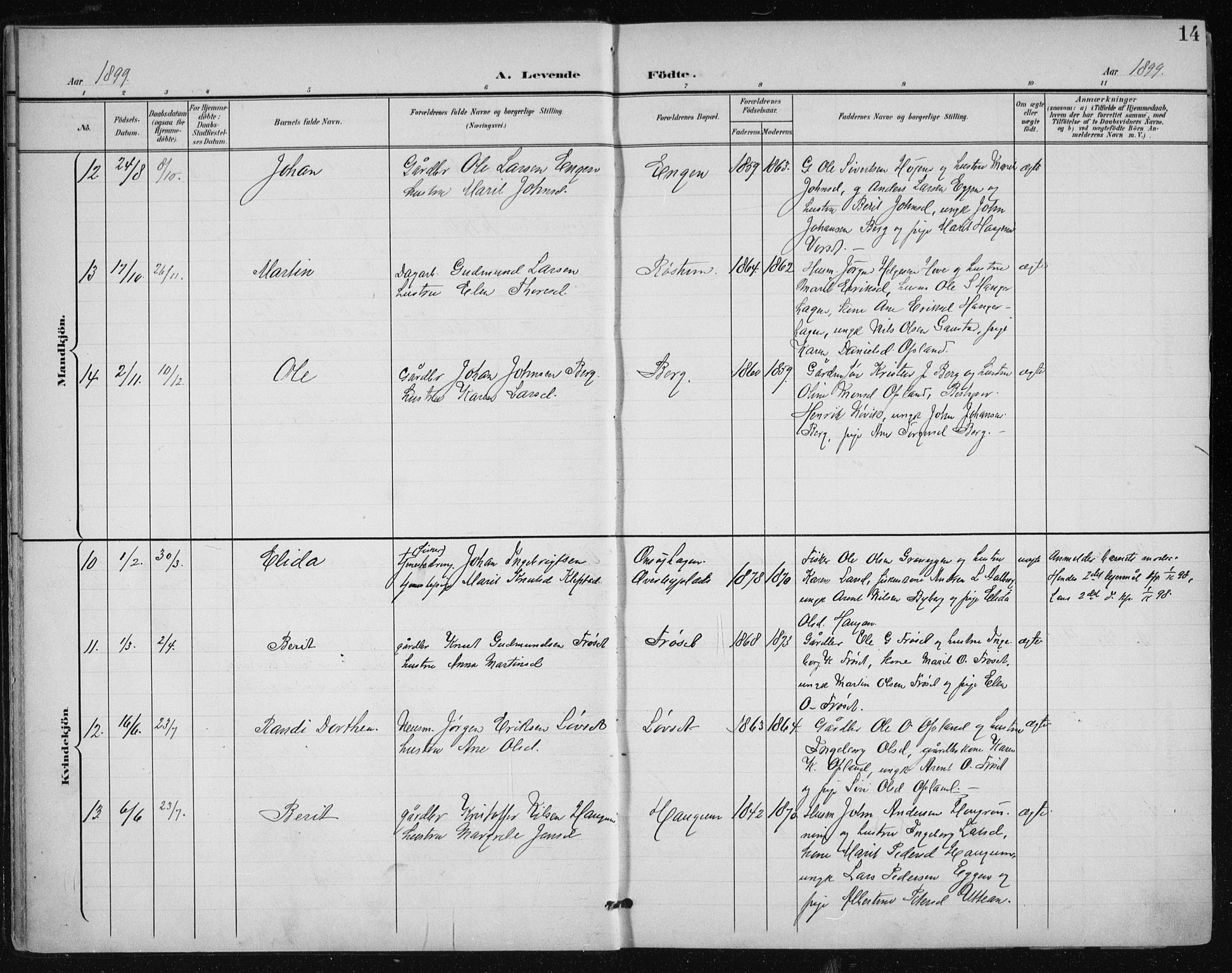 Ministerialprotokoller, klokkerbøker og fødselsregistre - Sør-Trøndelag, AV/SAT-A-1456/612/L0380: Parish register (official) no. 612A12, 1898-1907, p. 14