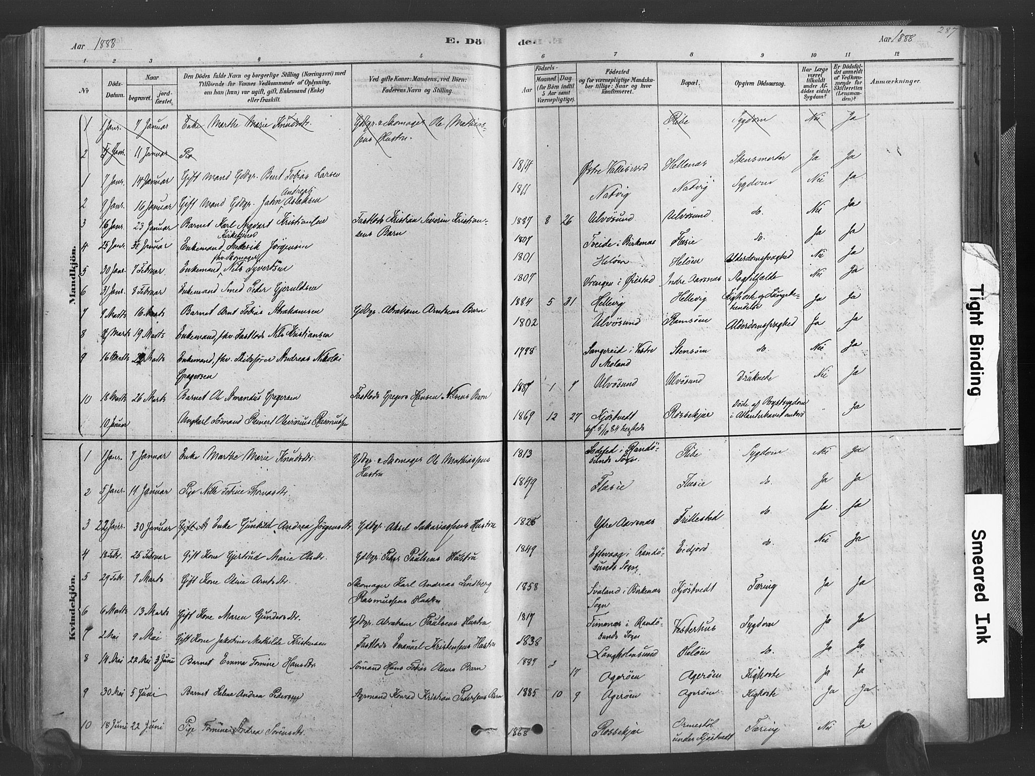 Høvåg sokneprestkontor, AV/SAK-1111-0025/F/Fa/L0005: Parish register (official) no. A 5, 1878-1893, p. 287