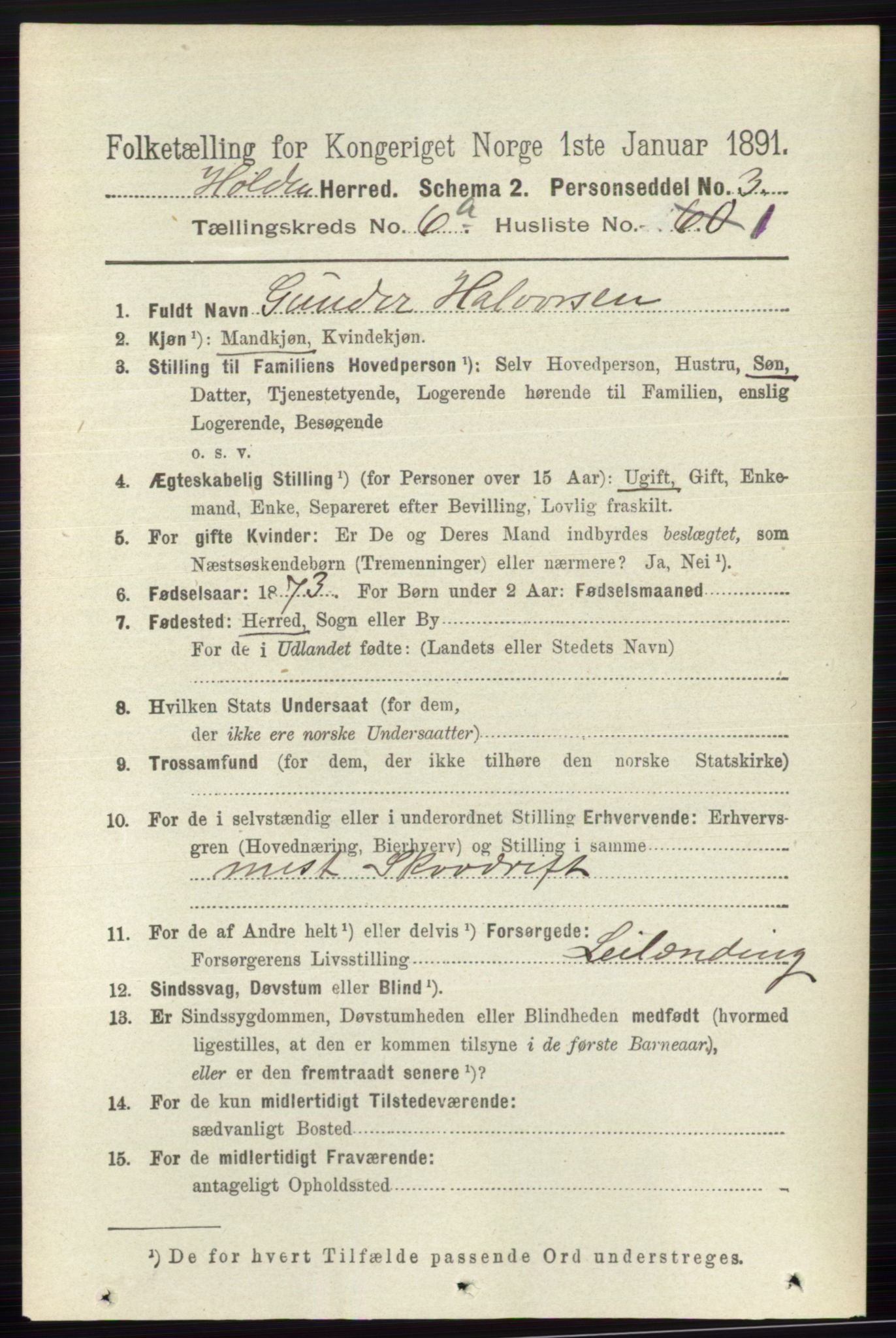 RA, 1891 census for 0819 Holla, 1891, p. 2868