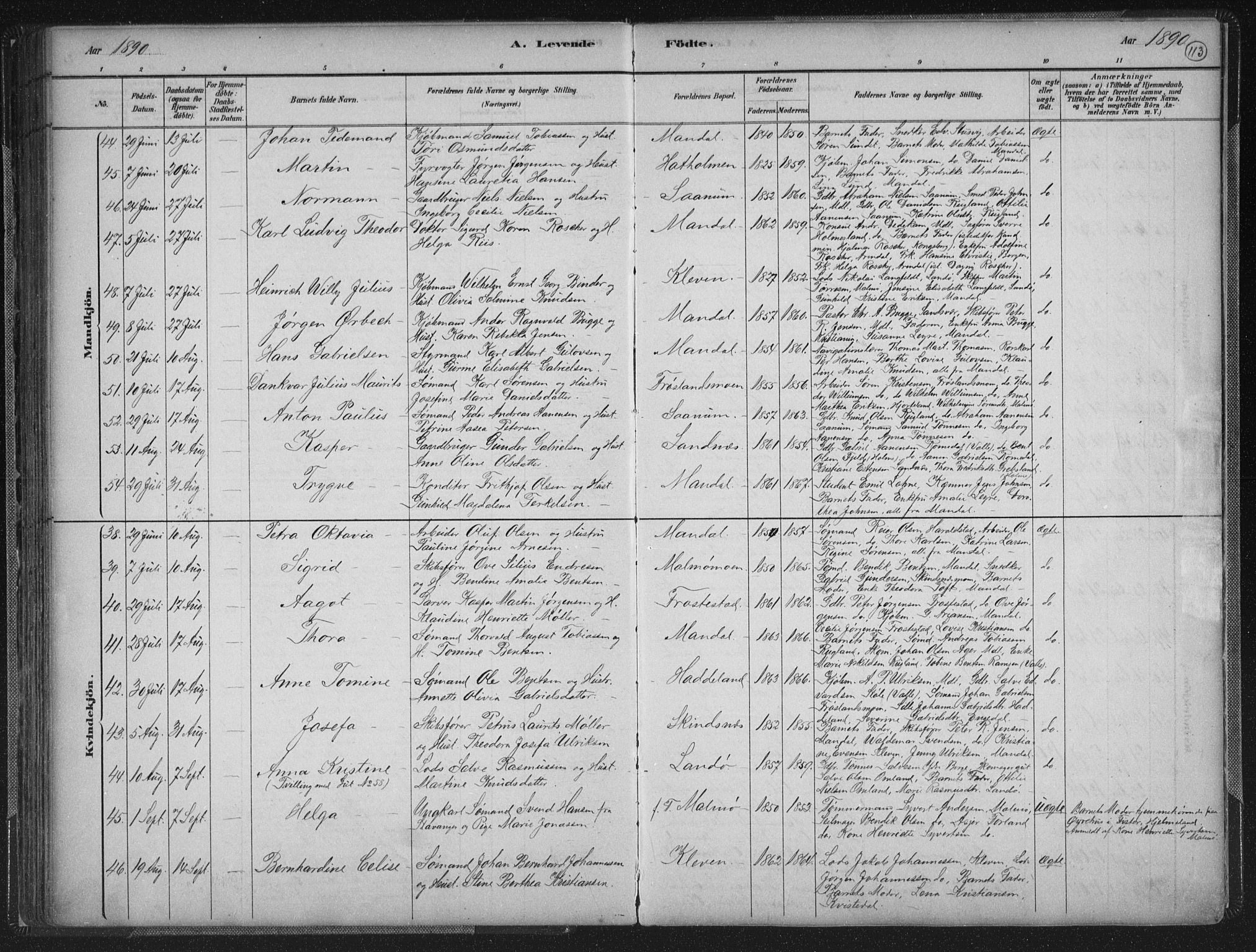 Mandal sokneprestkontor, AV/SAK-1111-0030/F/Fb/Fba/L0011: Parish register (copy) no. B 5, 1880-1898, p. 113