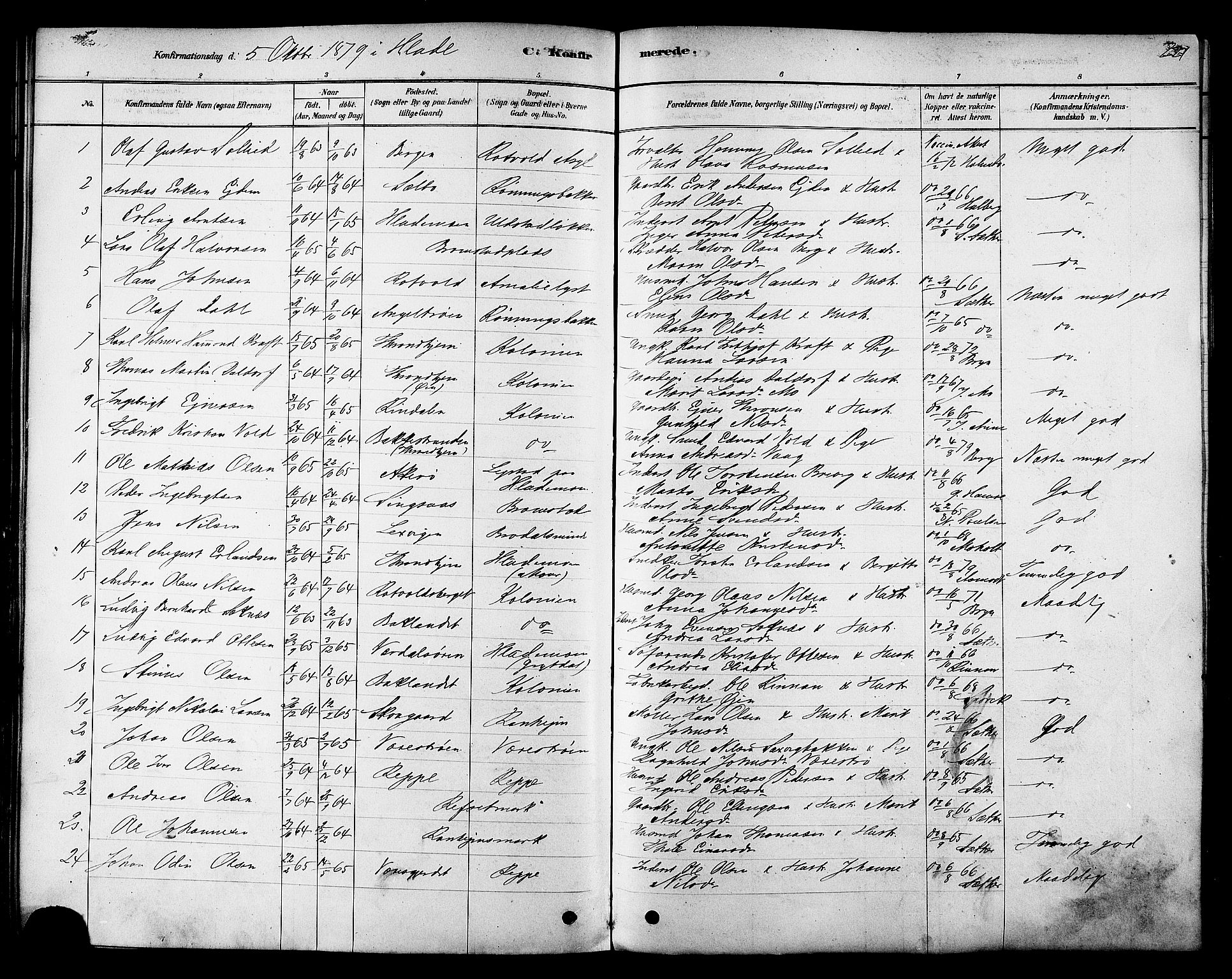 Ministerialprotokoller, klokkerbøker og fødselsregistre - Sør-Trøndelag, AV/SAT-A-1456/606/L0294: Parish register (official) no. 606A09, 1878-1886, p. 221