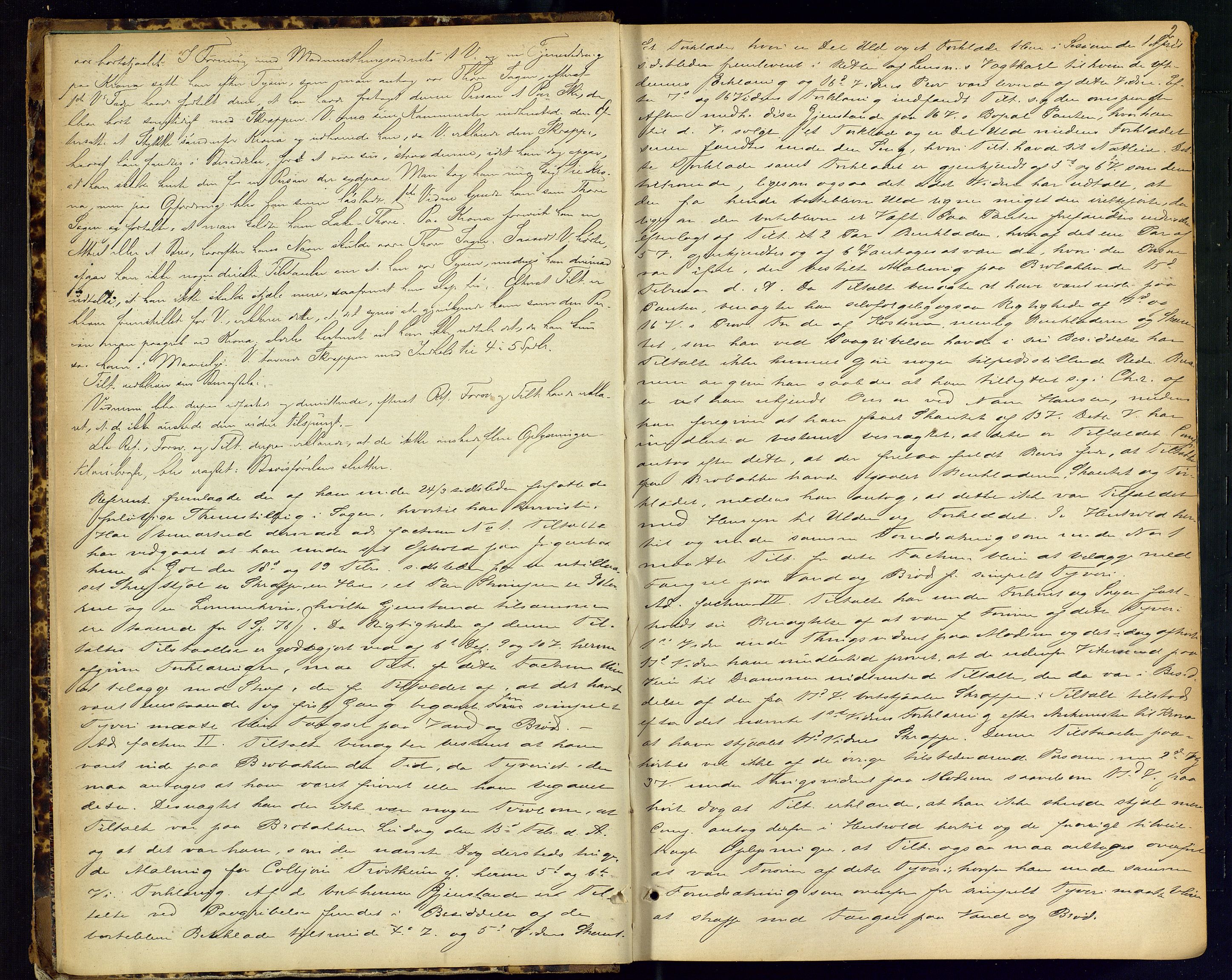 Hallingdal sorenskriveri, SAKO/A-121/F/Fc/L0014: Ekstrarettsprotokoll, 1873-1875, p. 2