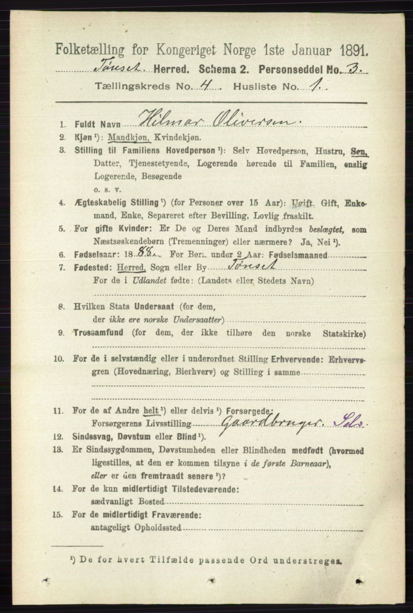 RA, 1891 census for 0437 Tynset, 1891, p. 778