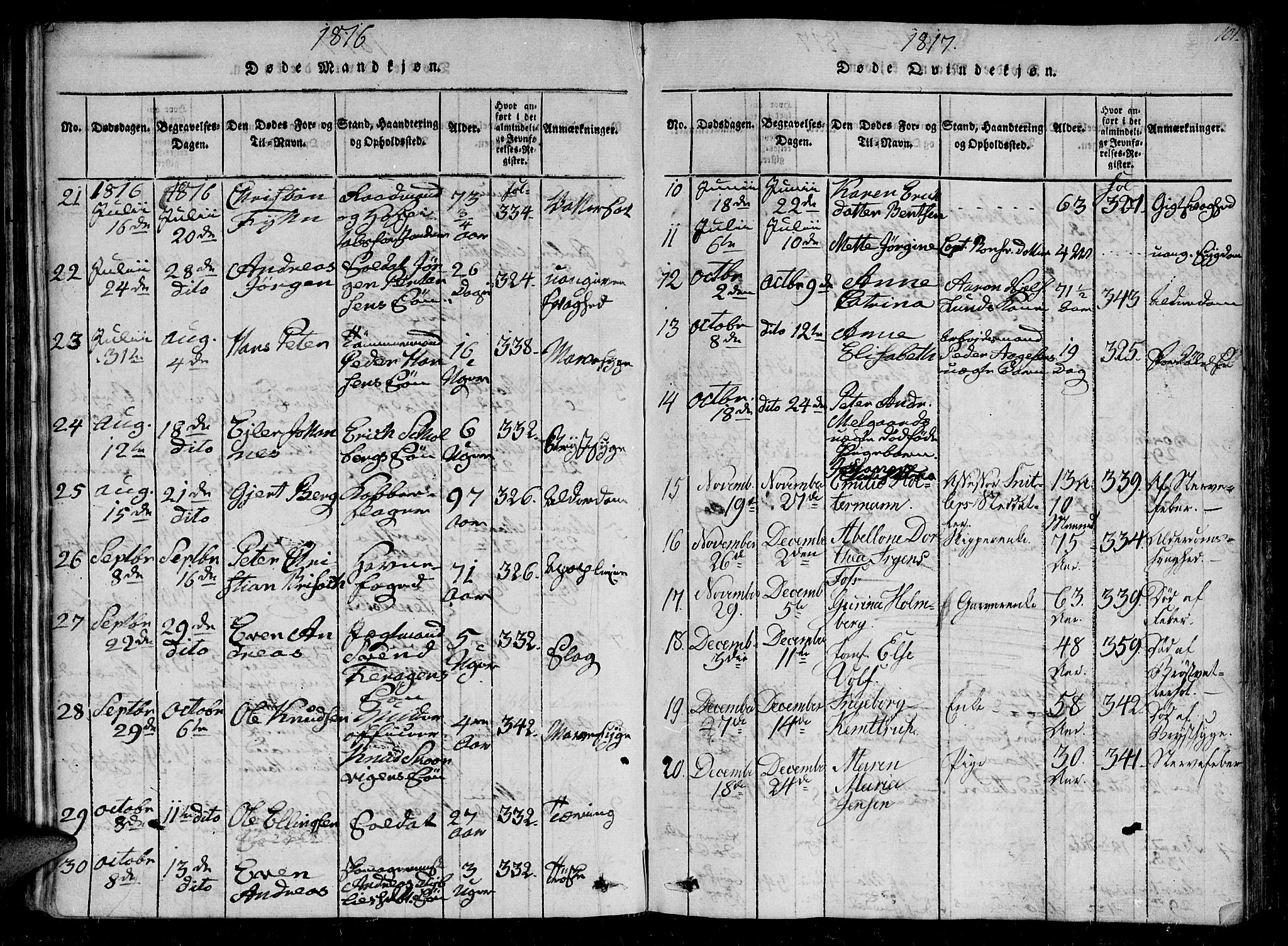 Ministerialprotokoller, klokkerbøker og fødselsregistre - Sør-Trøndelag, SAT/A-1456/602/L0107: Parish register (official) no. 602A05, 1815-1821, p. 101