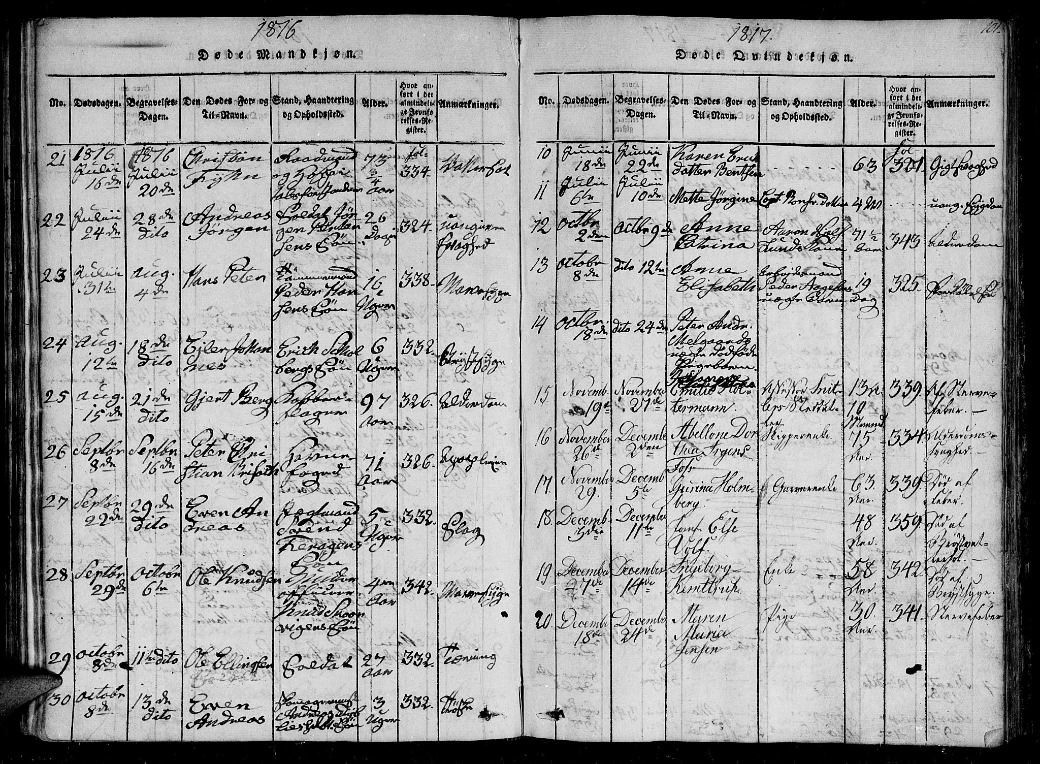 Ministerialprotokoller, klokkerbøker og fødselsregistre - Sør-Trøndelag, AV/SAT-A-1456/602/L0107: Parish register (official) no. 602A05, 1815-1821, p. 101