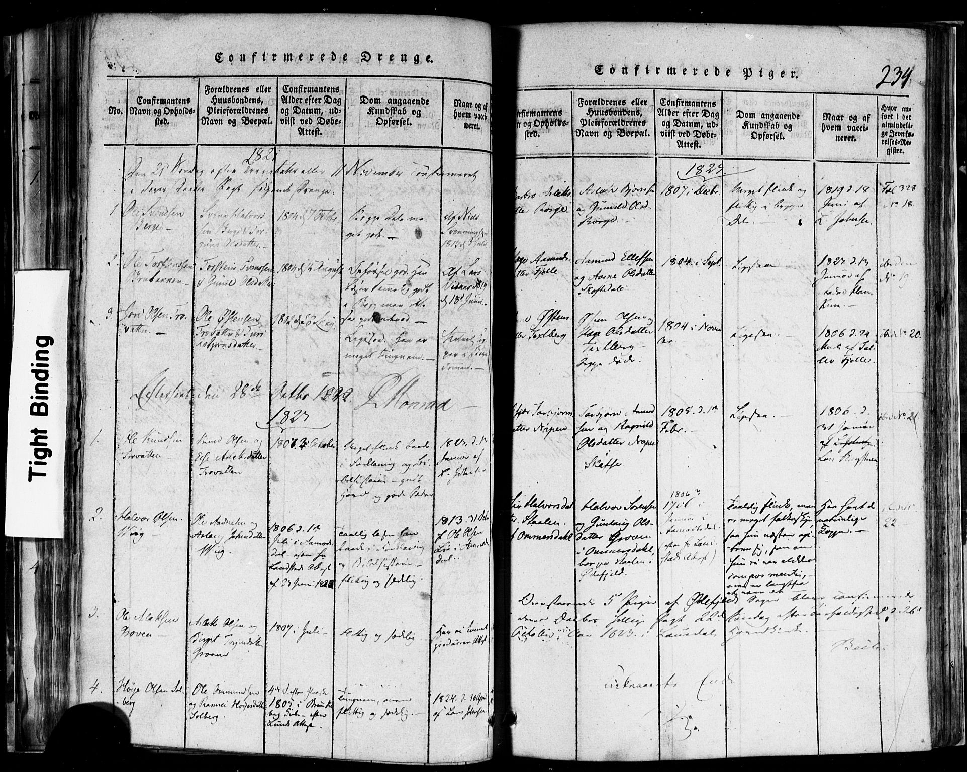 Rauland kirkebøker, SAKO/A-292/F/Fa/L0002: Parish register (official) no. 2, 1815-1860, p. 234