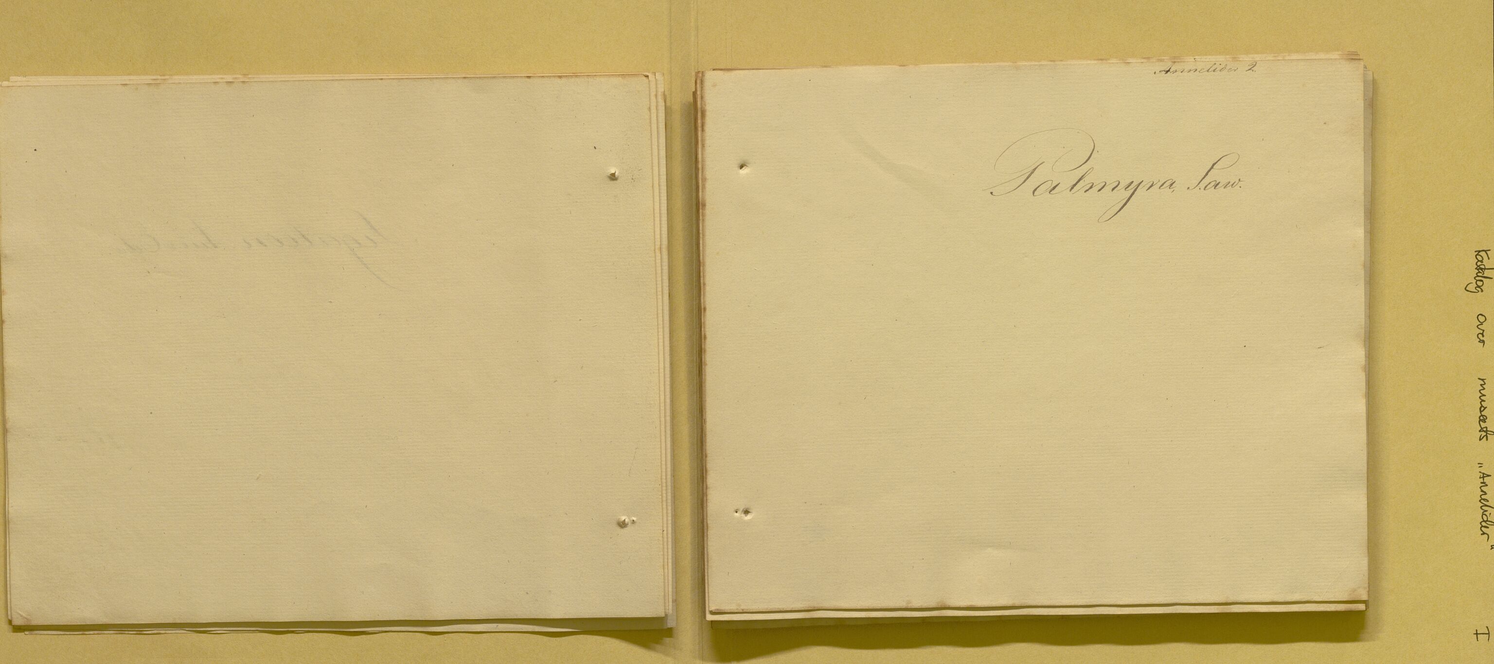 Bergens Museum, AV/SAB-A-17301/08/F/L0001: Fem udaterte kataloger fra 1800-tallet over leddormer, krepsdyr og fugler, 1825-1900, p. 10
