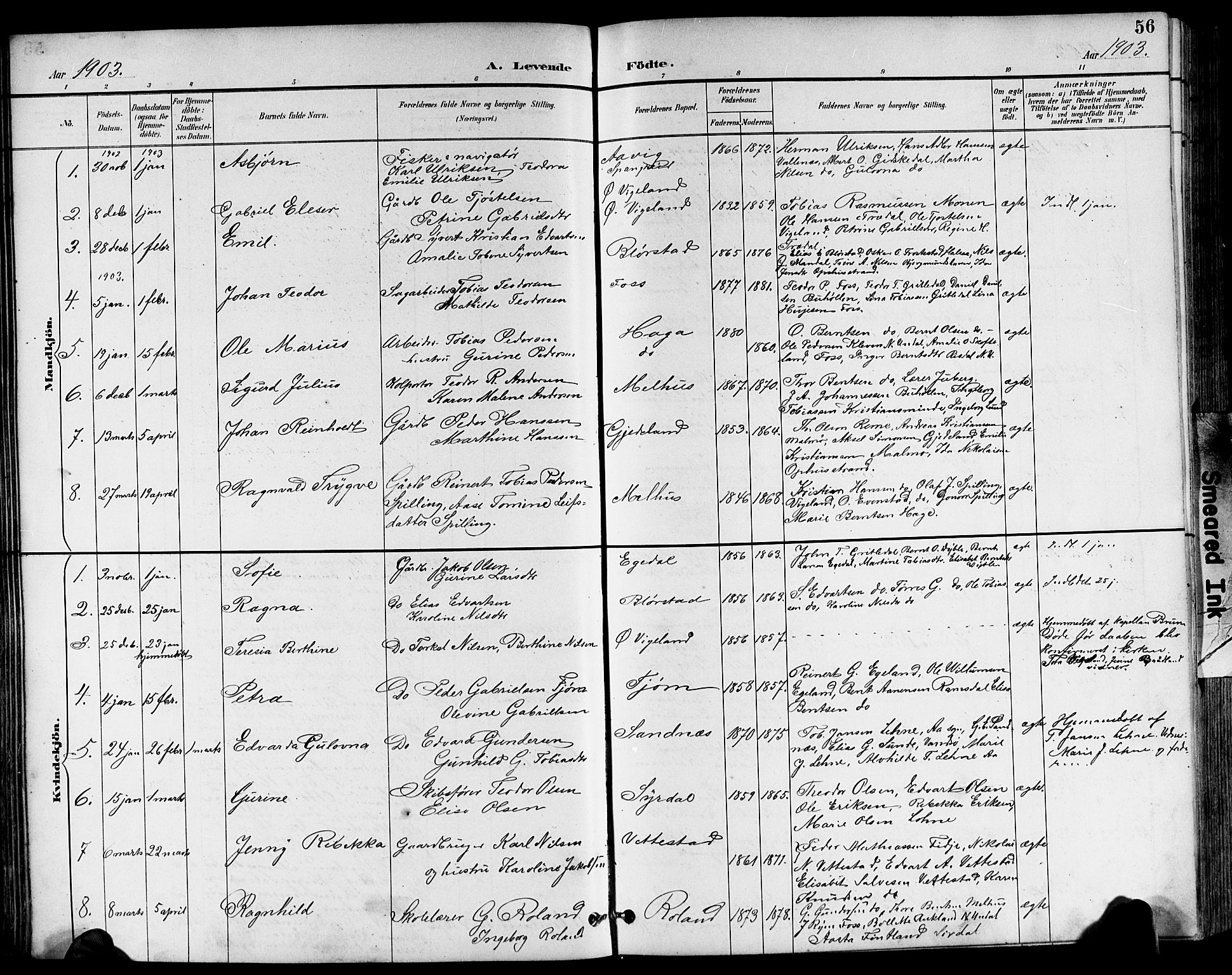 Sør-Audnedal sokneprestkontor, AV/SAK-1111-0039/F/Fb/Fbb/L0006: Parish register (copy) no. B 6, 1893-1915, p. 56