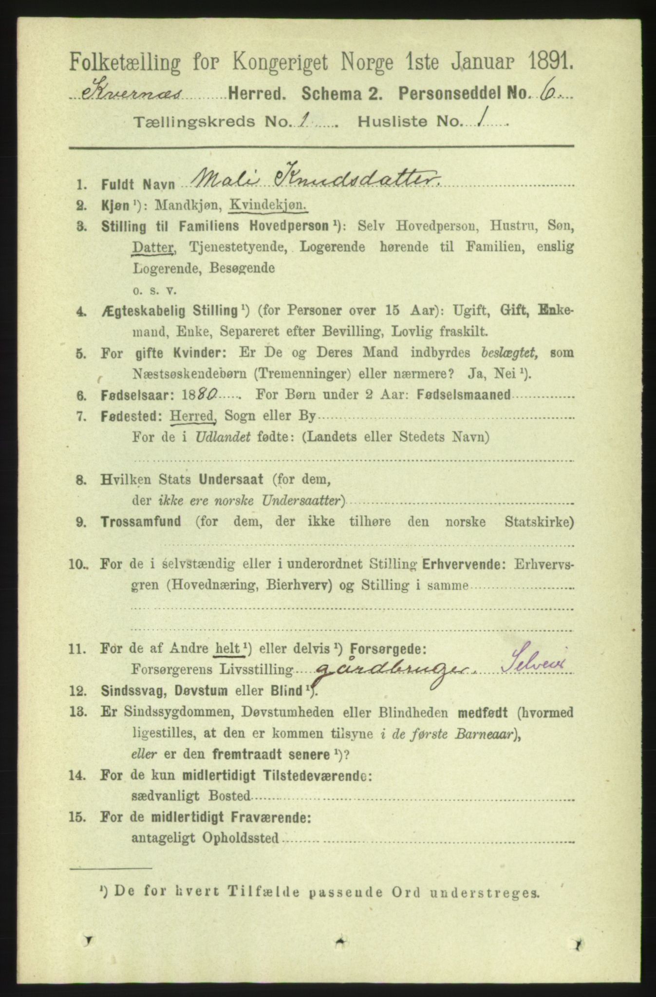 RA, 1891 census for 1553 Kvernes, 1891, p. 123