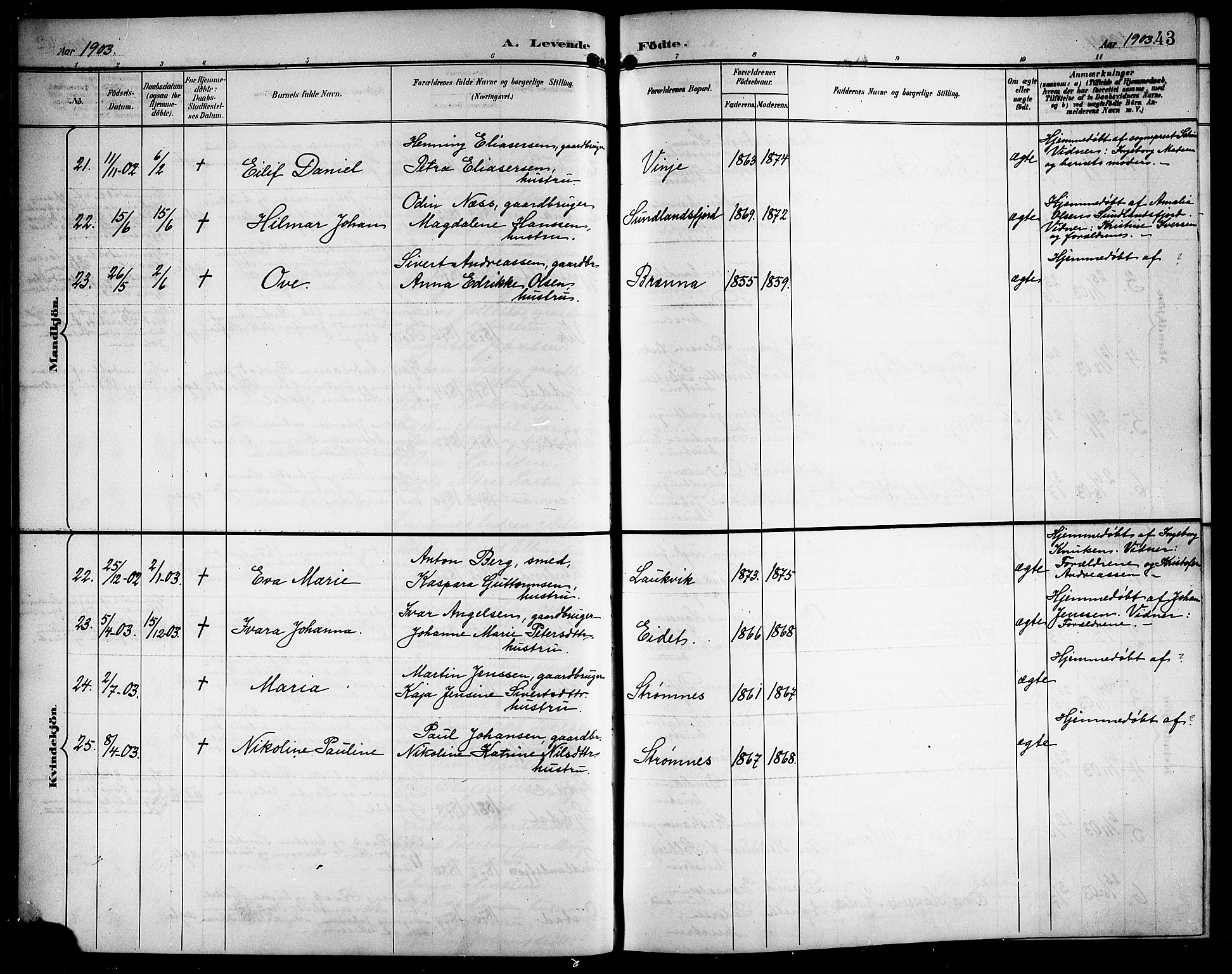 Ministerialprotokoller, klokkerbøker og fødselsregistre - Nordland, SAT/A-1459/876/L1105: Parish register (copy) no. 876C04, 1896-1914, p. 43