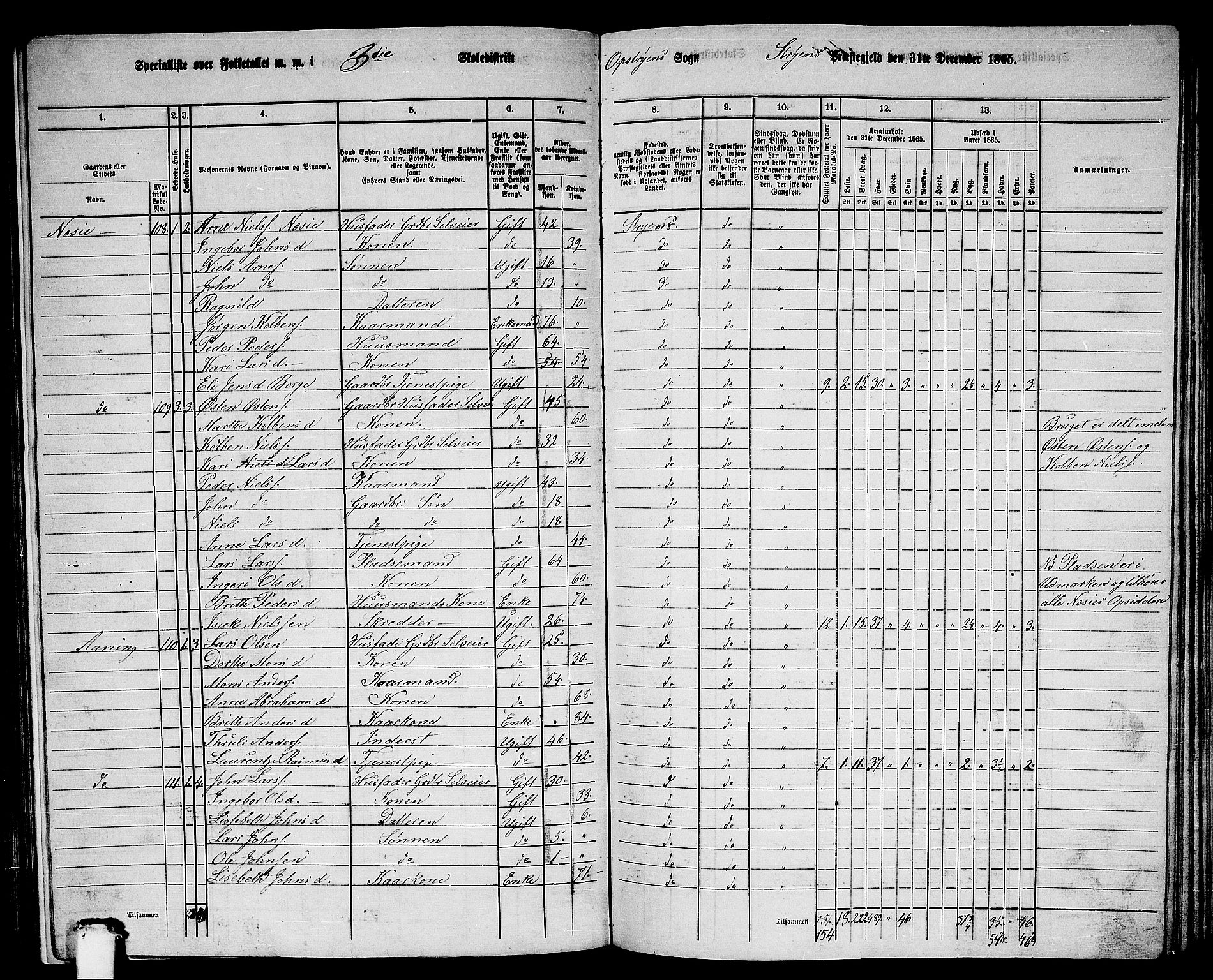 RA, 1865 census for Stryn, 1865, p. 11