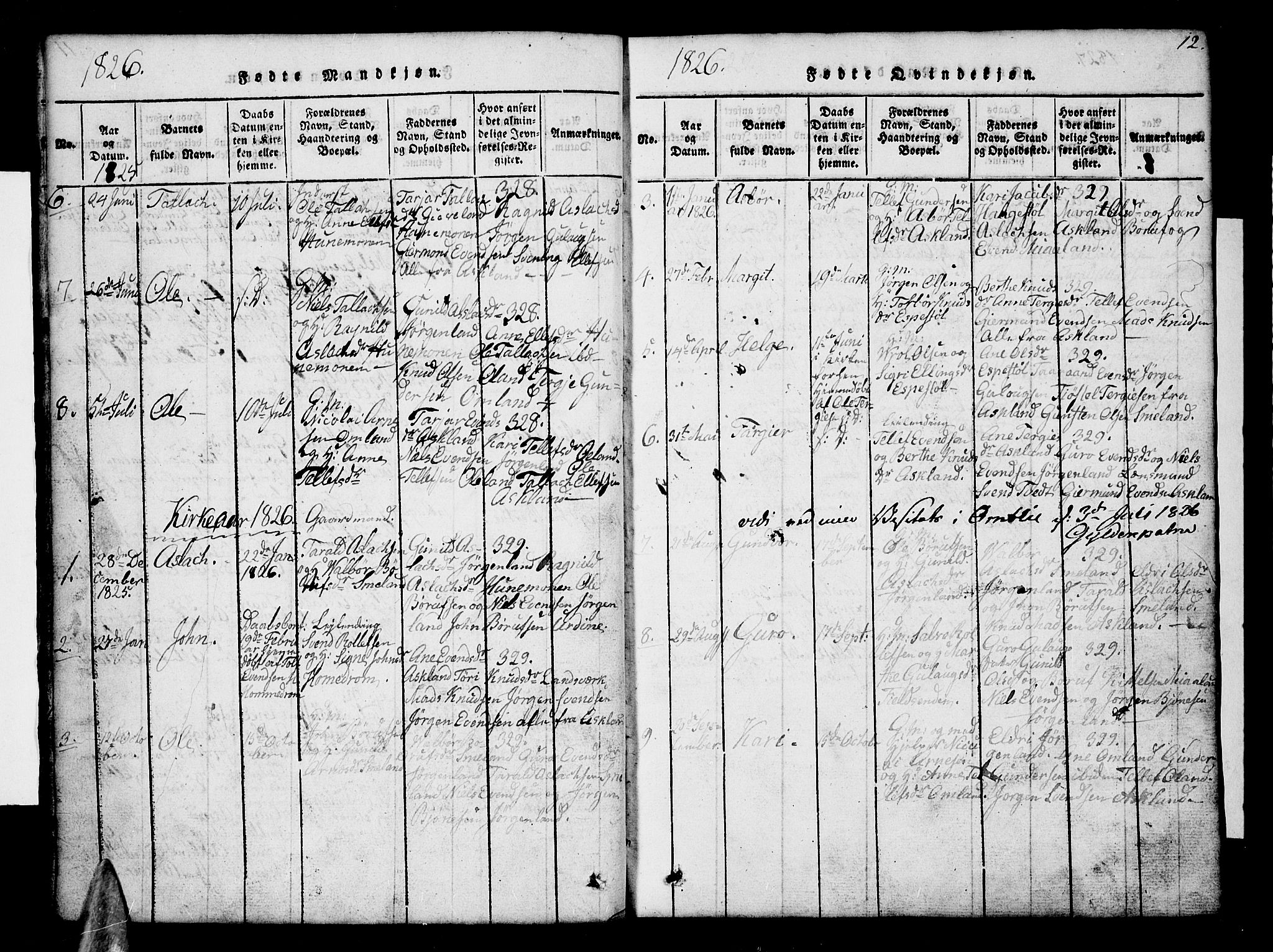 Åmli sokneprestkontor, SAK/1111-0050/F/Fb/Fba/L0001: Parish register (copy) no. B 1, 1816-1890, p. 12