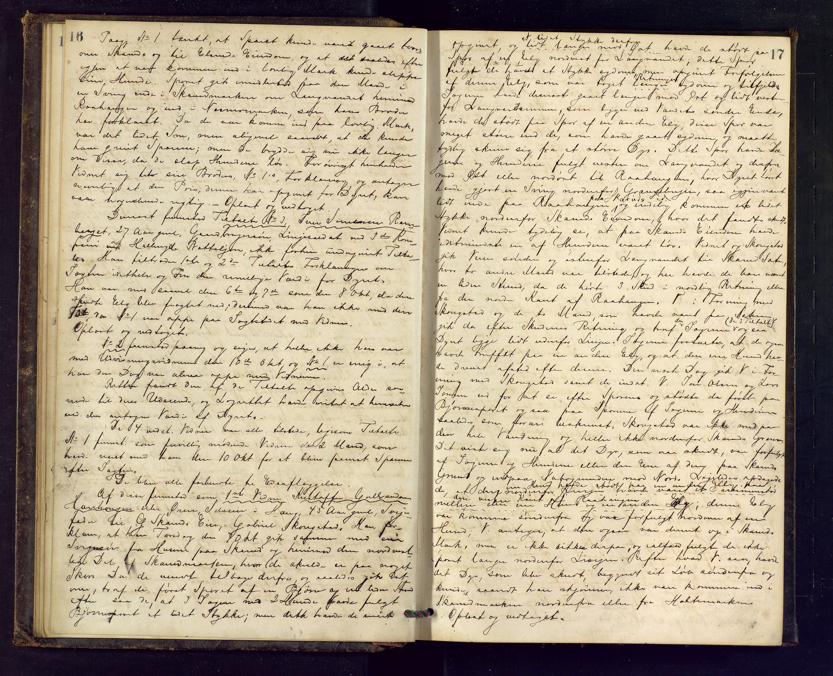 Ringerike sorenskriveri, AV/SAKO-A-105/F/Fc/Fca/L0017: Ekstrarettsprotokoll, 1880-1882, p. 16-17