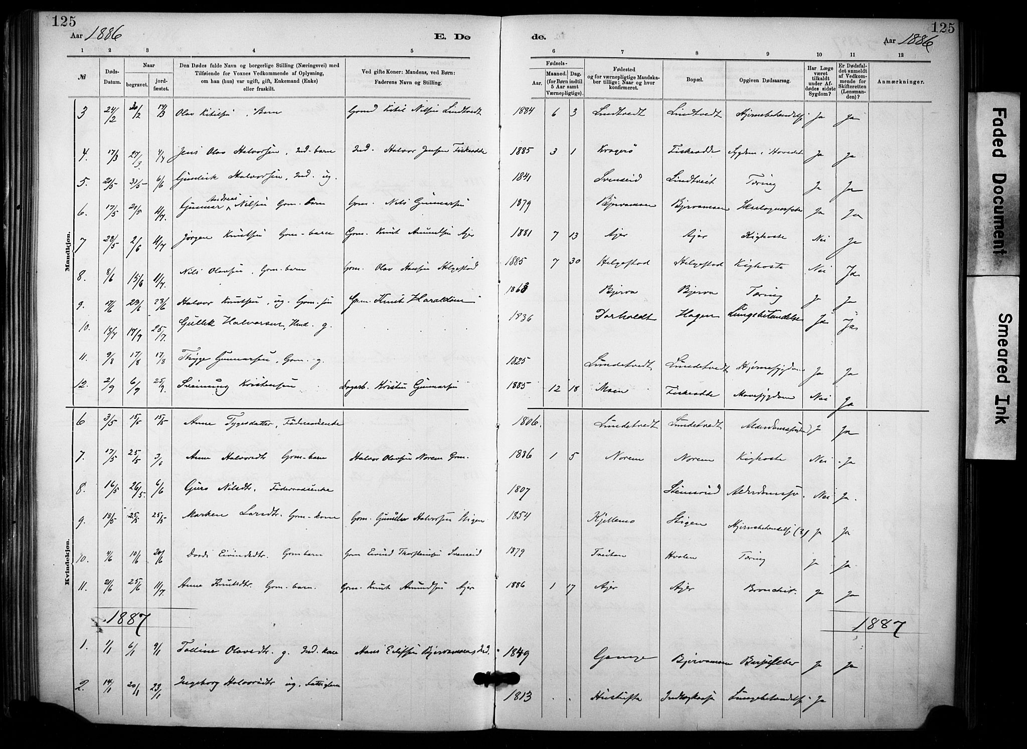 Lunde kirkebøker, SAKO/A-282/F/Fa/L0002: Parish register (official) no. I 2, 1884-1892, p. 125