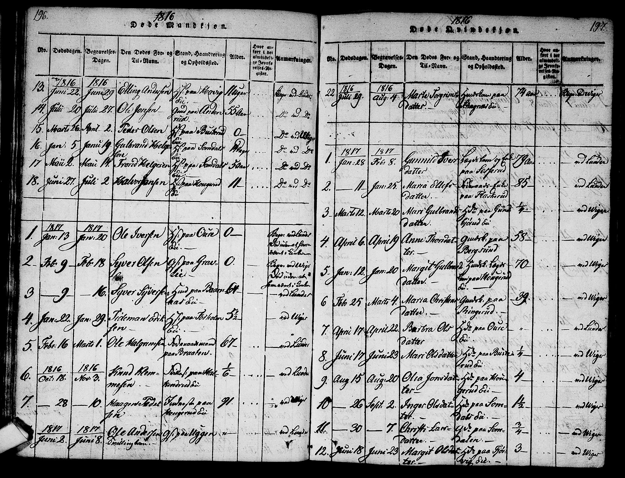 Norderhov kirkebøker, SAKO/A-237/G/Ga/L0003: Parish register (copy) no. I 3 /2, 1814-1876, p. 196-197