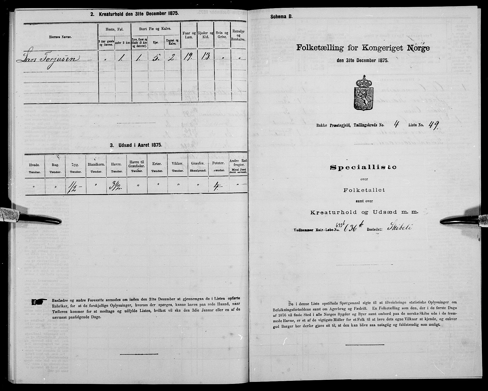 SAK, 1875 census for 1045P Bakke, 1875, p. 480