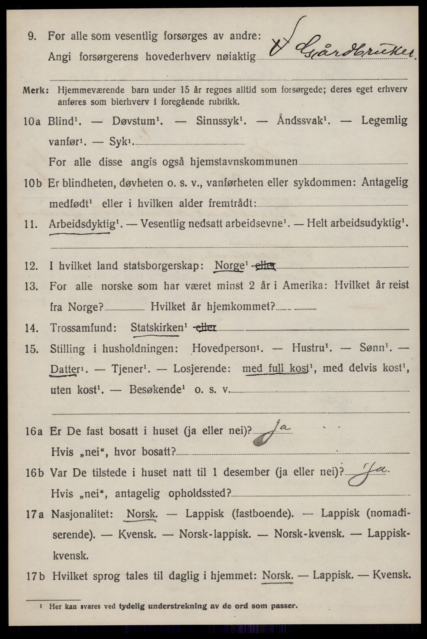 SAT, 1920 census for Røros, 1920, p. 11309