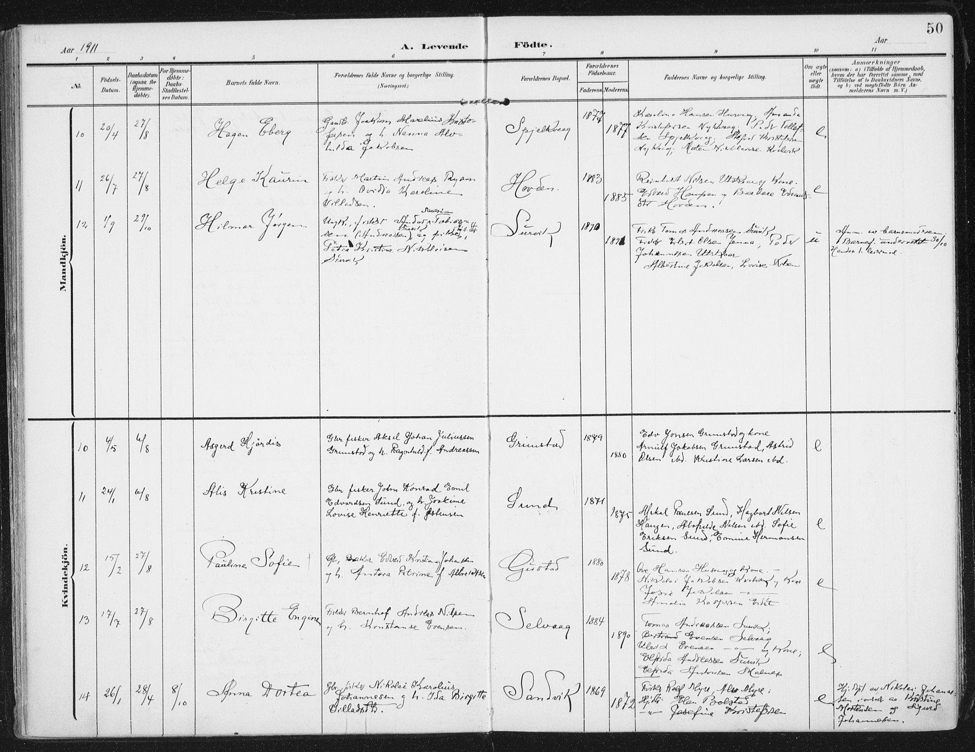 Ministerialprotokoller, klokkerbøker og fødselsregistre - Nordland, AV/SAT-A-1459/892/L1321: Parish register (official) no. 892A02, 1902-1918, p. 50