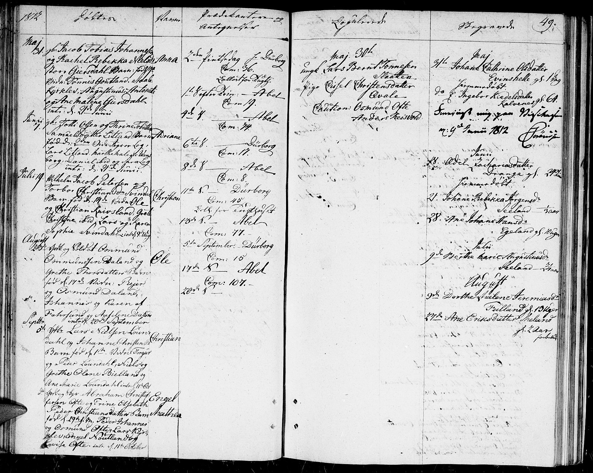 Herad sokneprestkontor, AV/SAK-1111-0018/F/Fa/Faa/L0002: Parish register (official) no. A 2, 1800-1815, p. 49