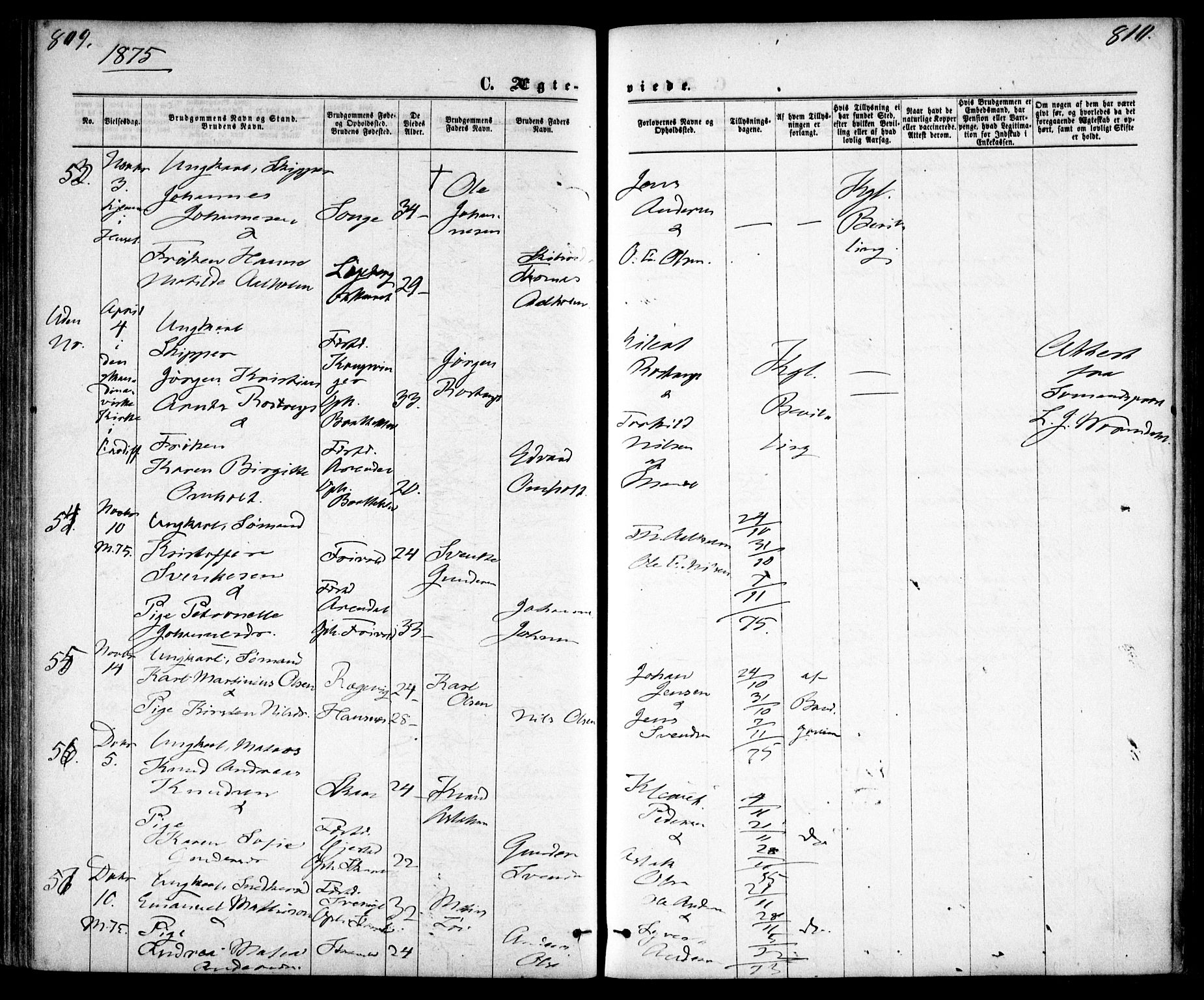 Tromøy sokneprestkontor, AV/SAK-1111-0041/F/Fa/L0008: Parish register (official) no. A 8, 1870-1877, p. 809-810