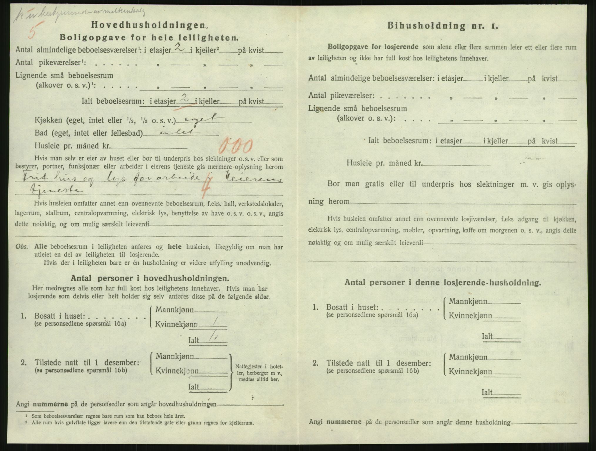 SAT, 1920 census for Namsos, 1920, p. 1204