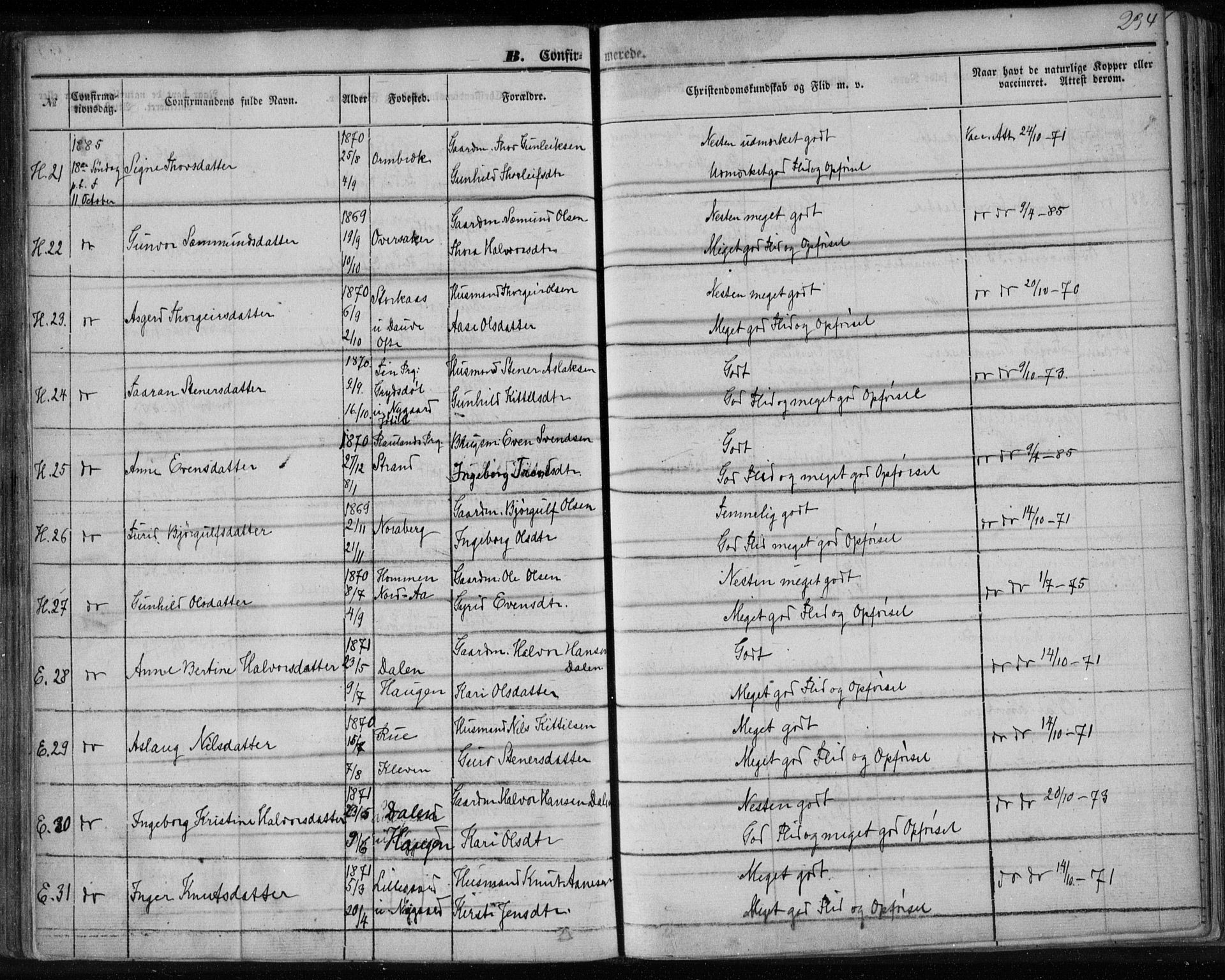 Lårdal kirkebøker, SAKO/A-284/F/Fa/L0006: Parish register (official) no. I 6, 1861-1886, p. 234