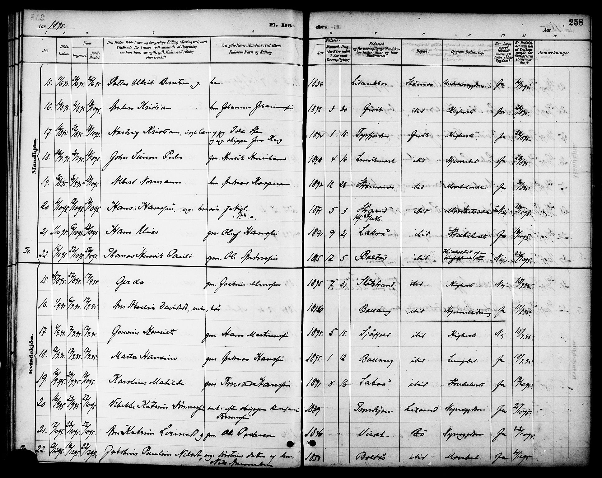 Ministerialprotokoller, klokkerbøker og fødselsregistre - Nordland, AV/SAT-A-1459/863/L0898: Parish register (official) no. 863A10, 1886-1897, p. 258