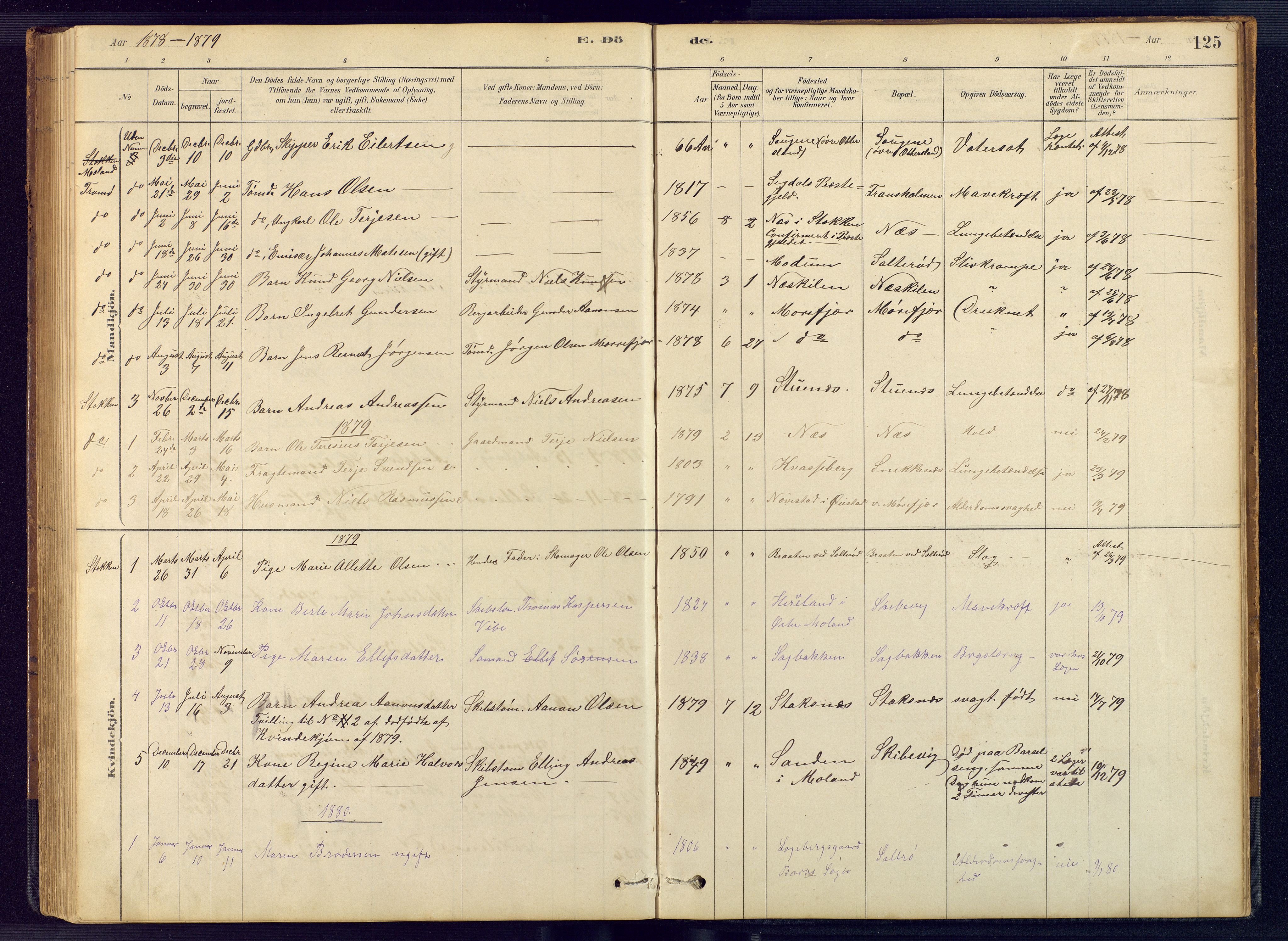 Austre Moland sokneprestkontor, SAK/1111-0001/F/Fb/Fbb/L0001: Parish register (copy) no. B 1, 1878-1904, p. 125